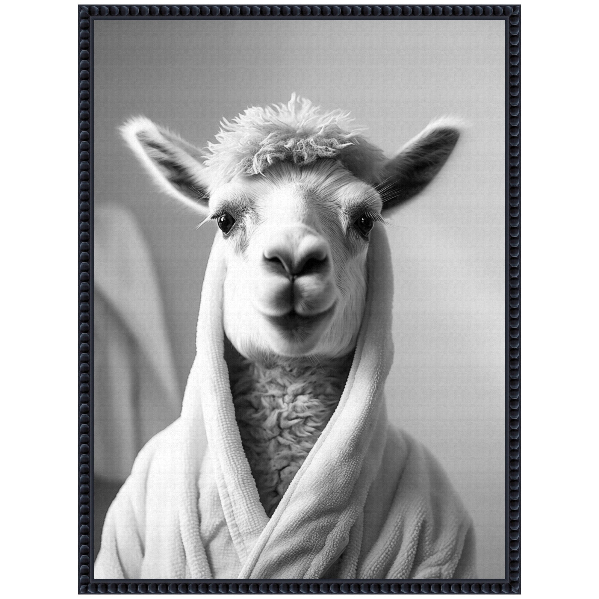 Sylvie Llama Bathroom Art Towel Robe Black and White Framed Canvas by The Creative Bunch Studio