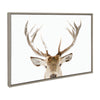 Sylvie Stag Peekaboo Framed Canvas by Amy Peterson Art Studio