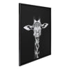 Sylvie Minimalist Giraffe Animal Portrait on Black BW Framed Canvas by The Creative Bunch Studio