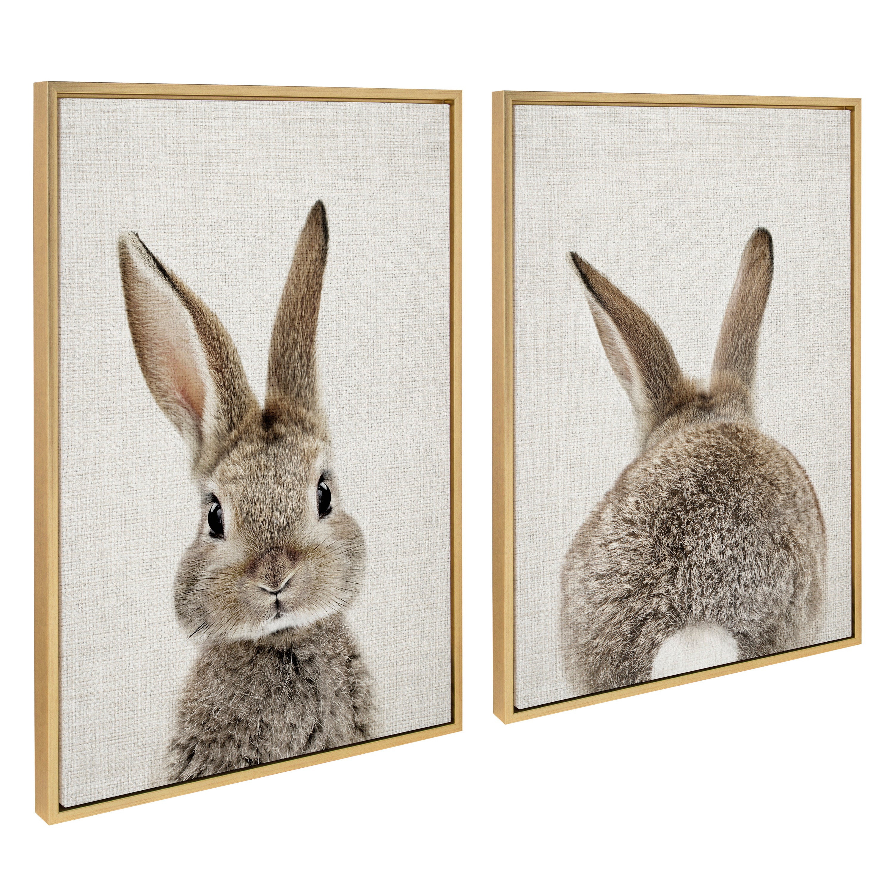 Sylvie Bunny Portrait on Linen and Bunny Tail on Linen Framed Canvas Art Set by Amy Peterson Art Studio