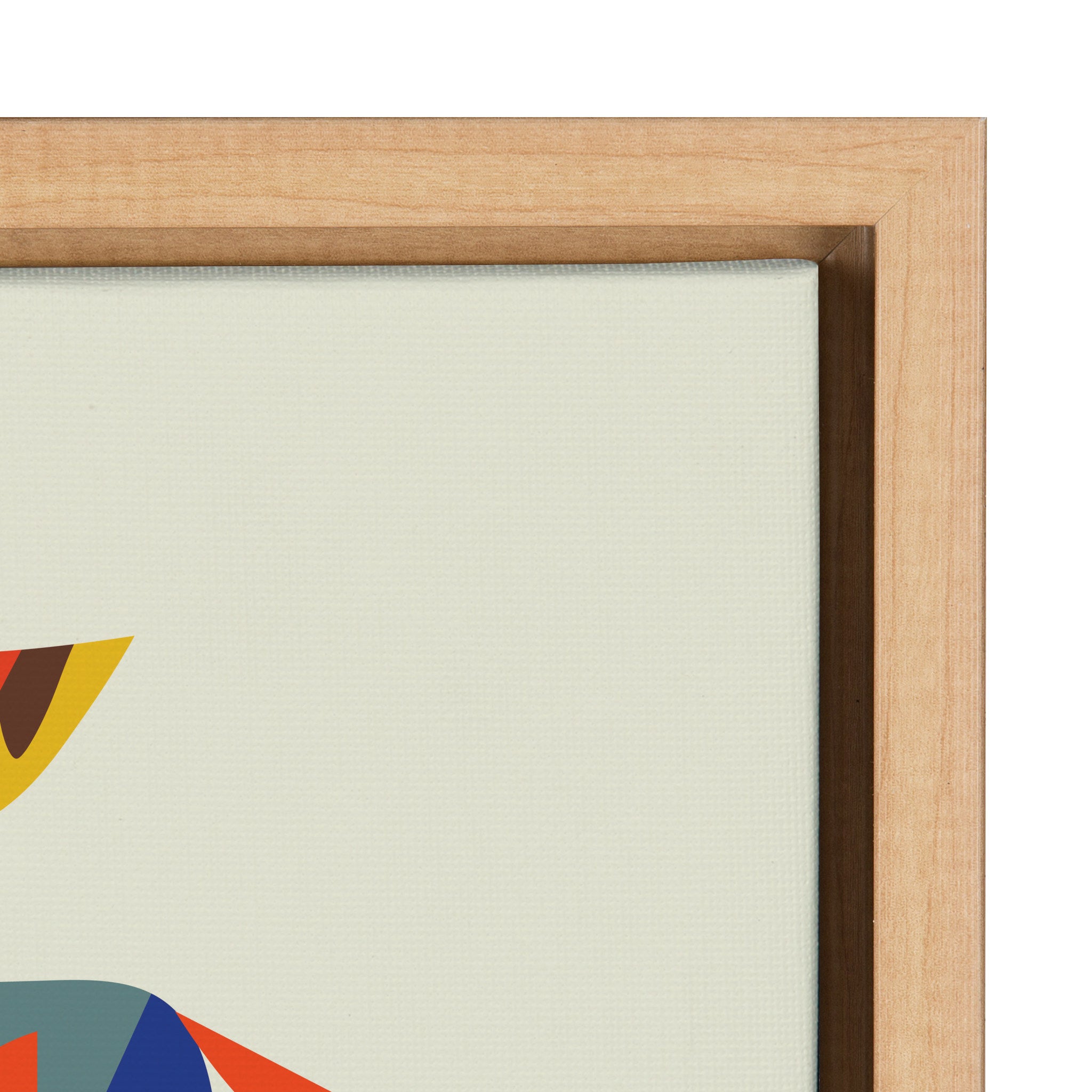 Sylvie Skate Dog Framed Canvas by Rachel Lee of My Dream Wall