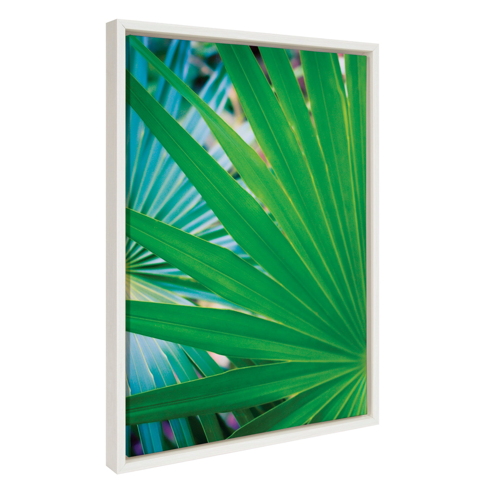 Sylvie Tropical Palm Frond Starburst Framed Canvas by Stephanie Klatt