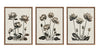 Sylvie Simple Modern Linocut Neutral Lotus Flowers Framed Canvas Art Set by The Creative Bunch Studio