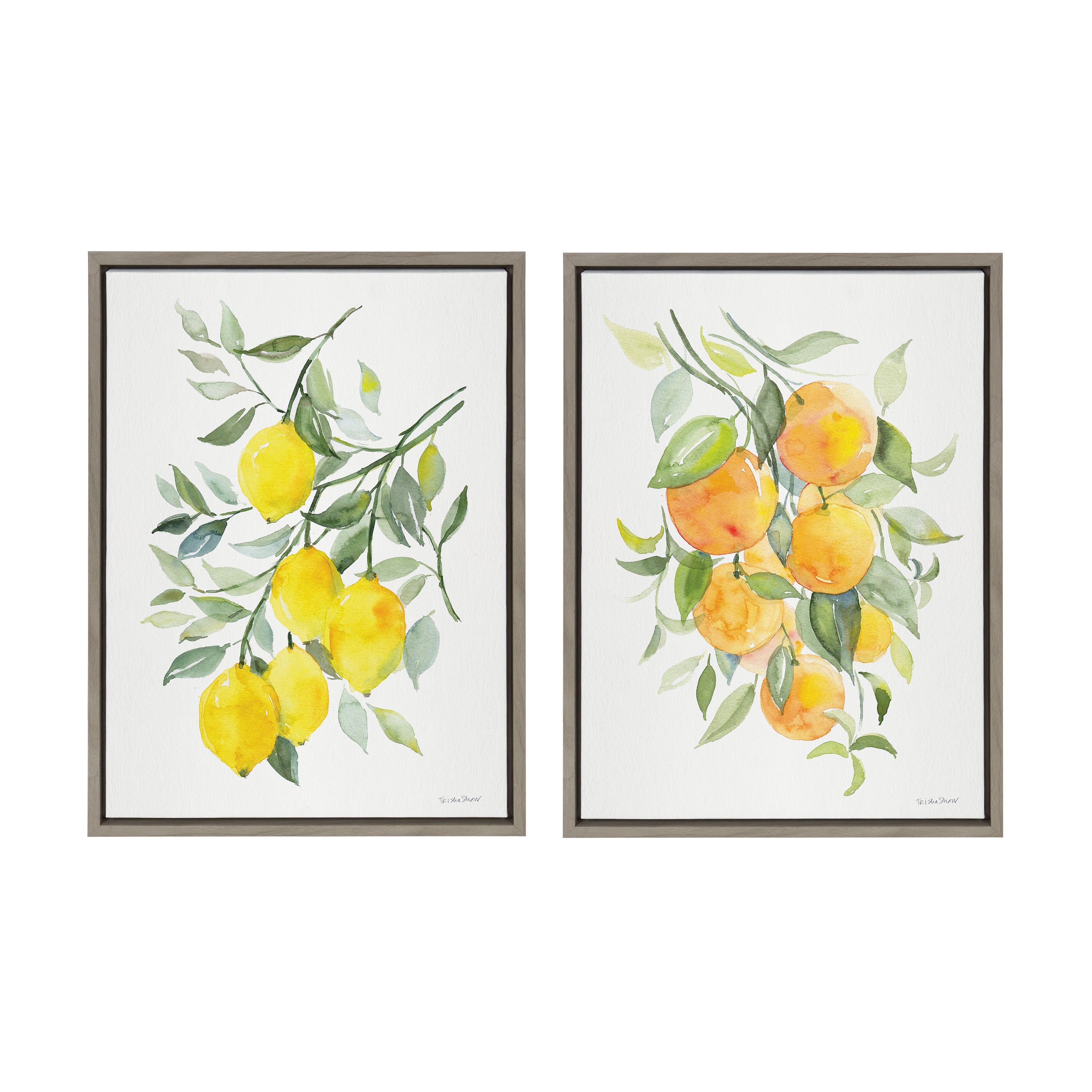 Sylvie Orange Citrus and Lemon Citrus Framed Canvas Art Set by Patricia Shaw