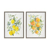 Sylvie Orange Citrus and Lemon Citrus Framed Canvas Art Set by Patricia Shaw