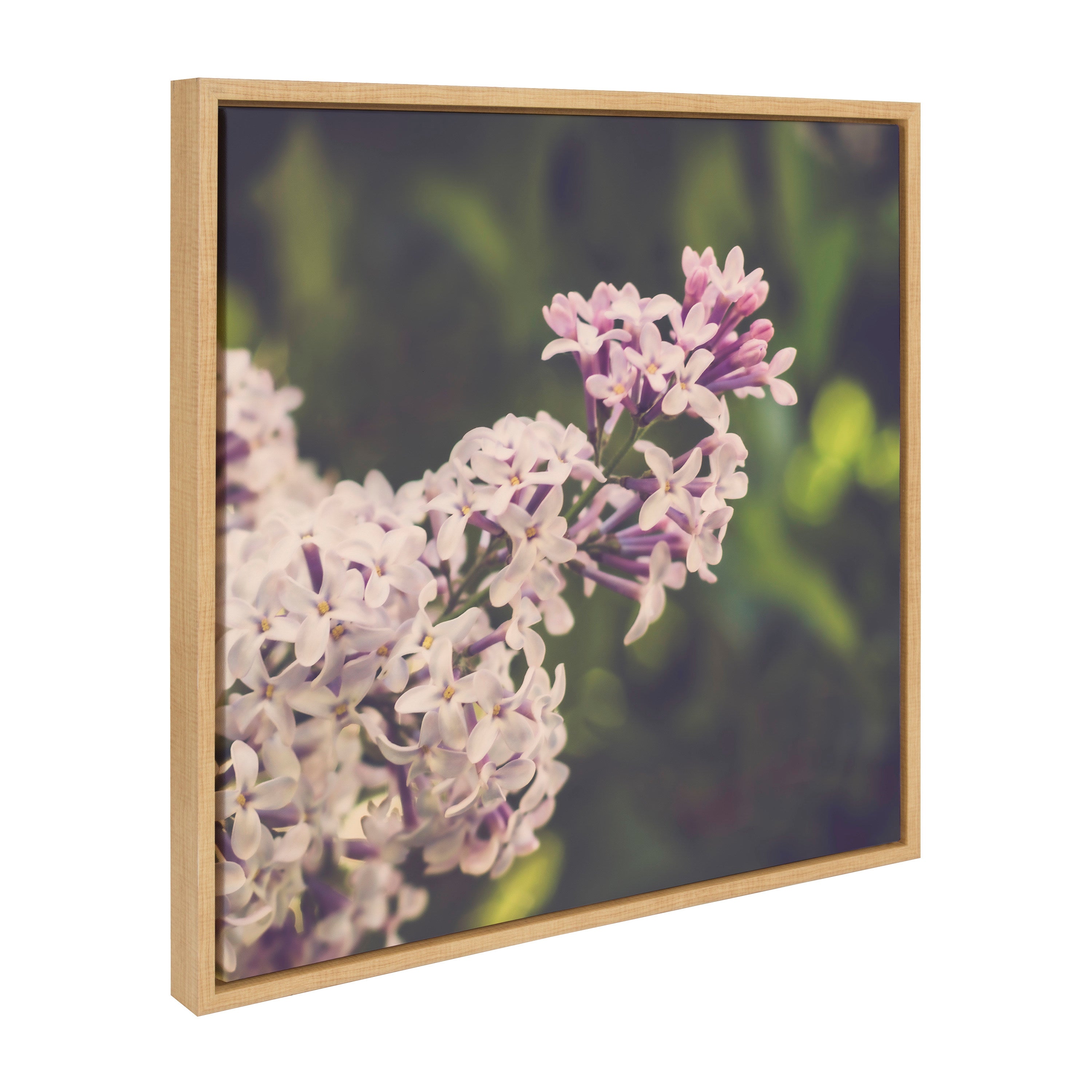 Sylvie Pastel Lilacs Framed Canvas by Stephanie Klatt