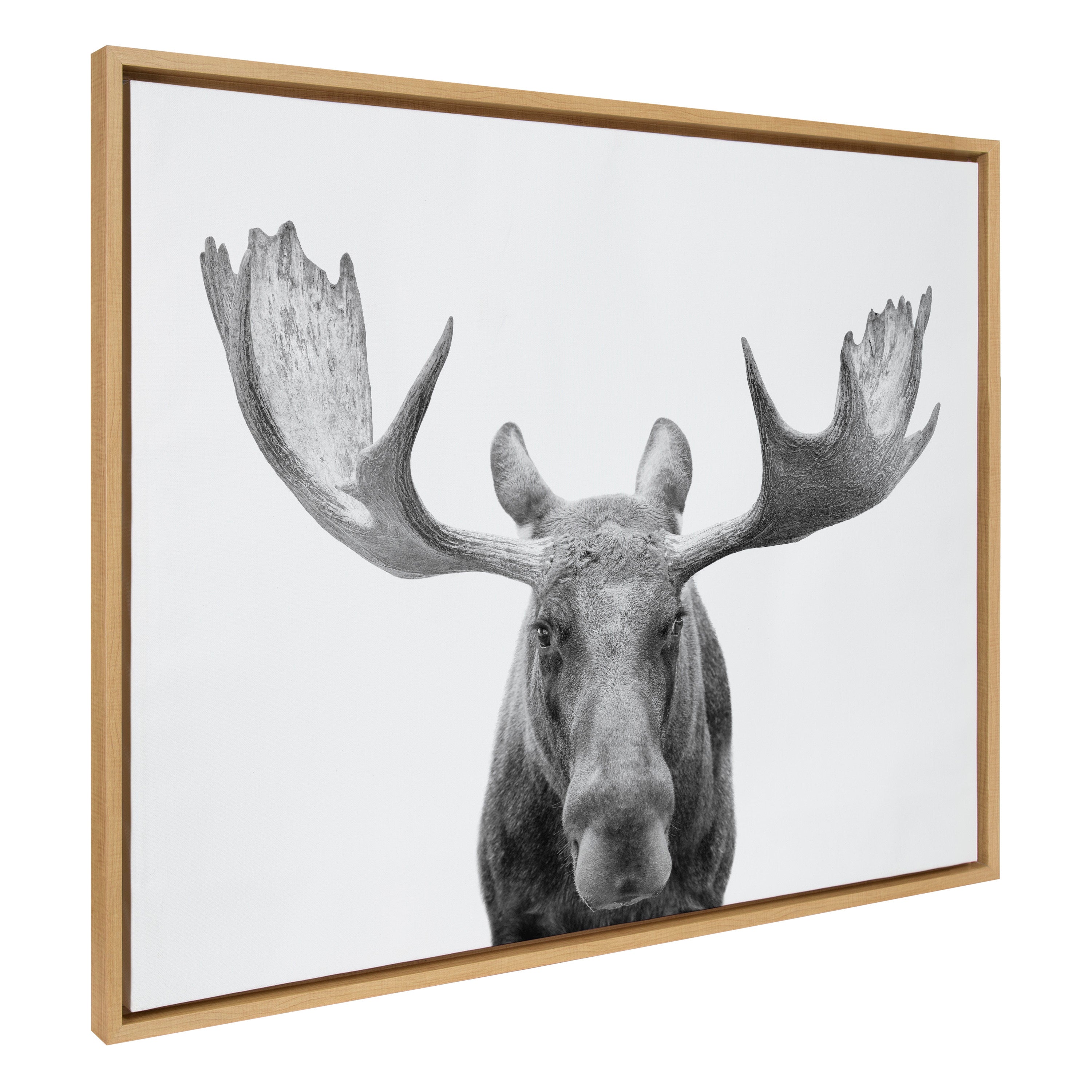 Sylvie Moose Black and White Framed Canvas by Amy Peterson Art Studio