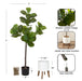 Faux Tree White Rustic Brown 4.5' 2