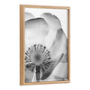 Blake Poppy X Ray Floral 2 BW Framed Printed Art by The Creative Bunch Studio