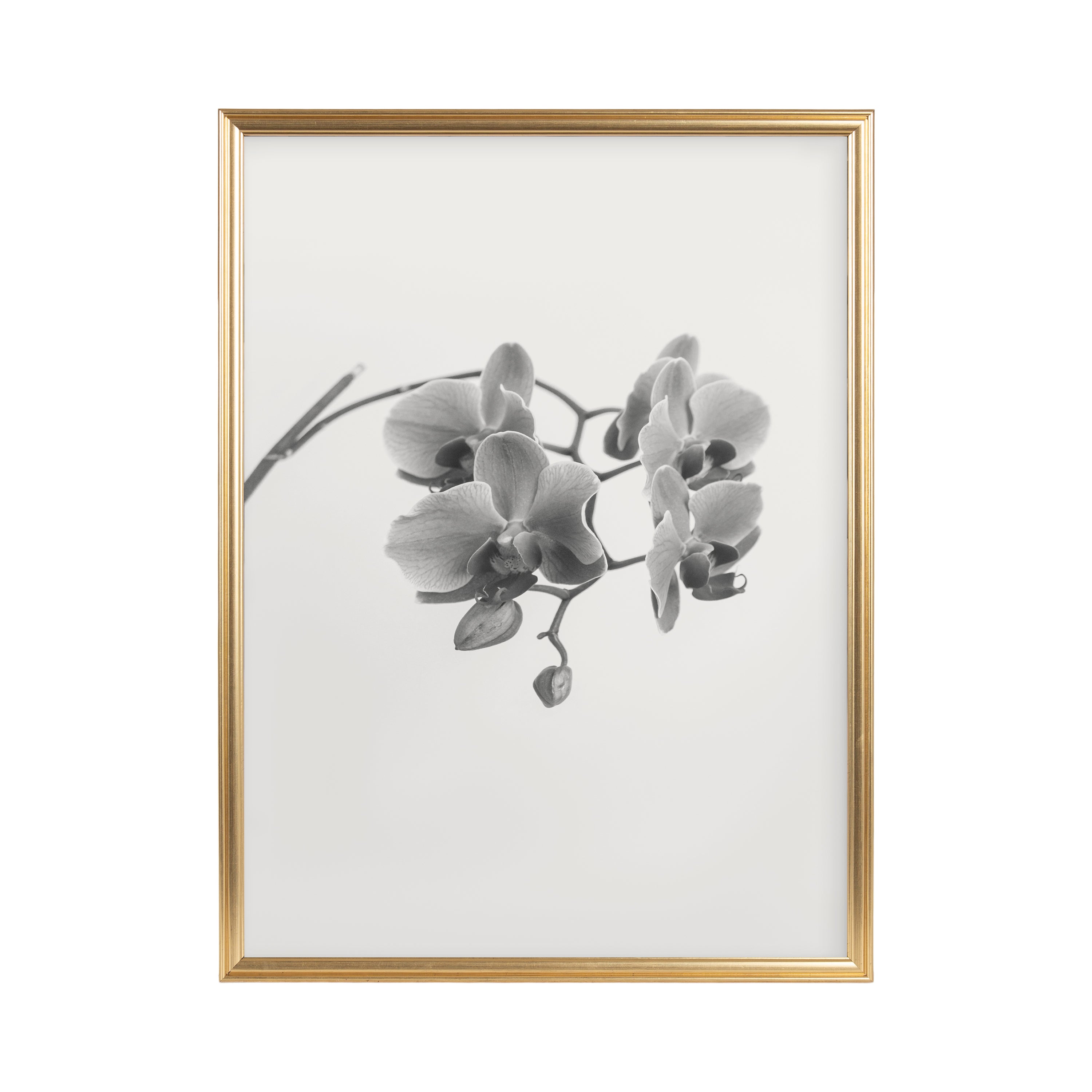 Poster Frame Gold 18x24 5