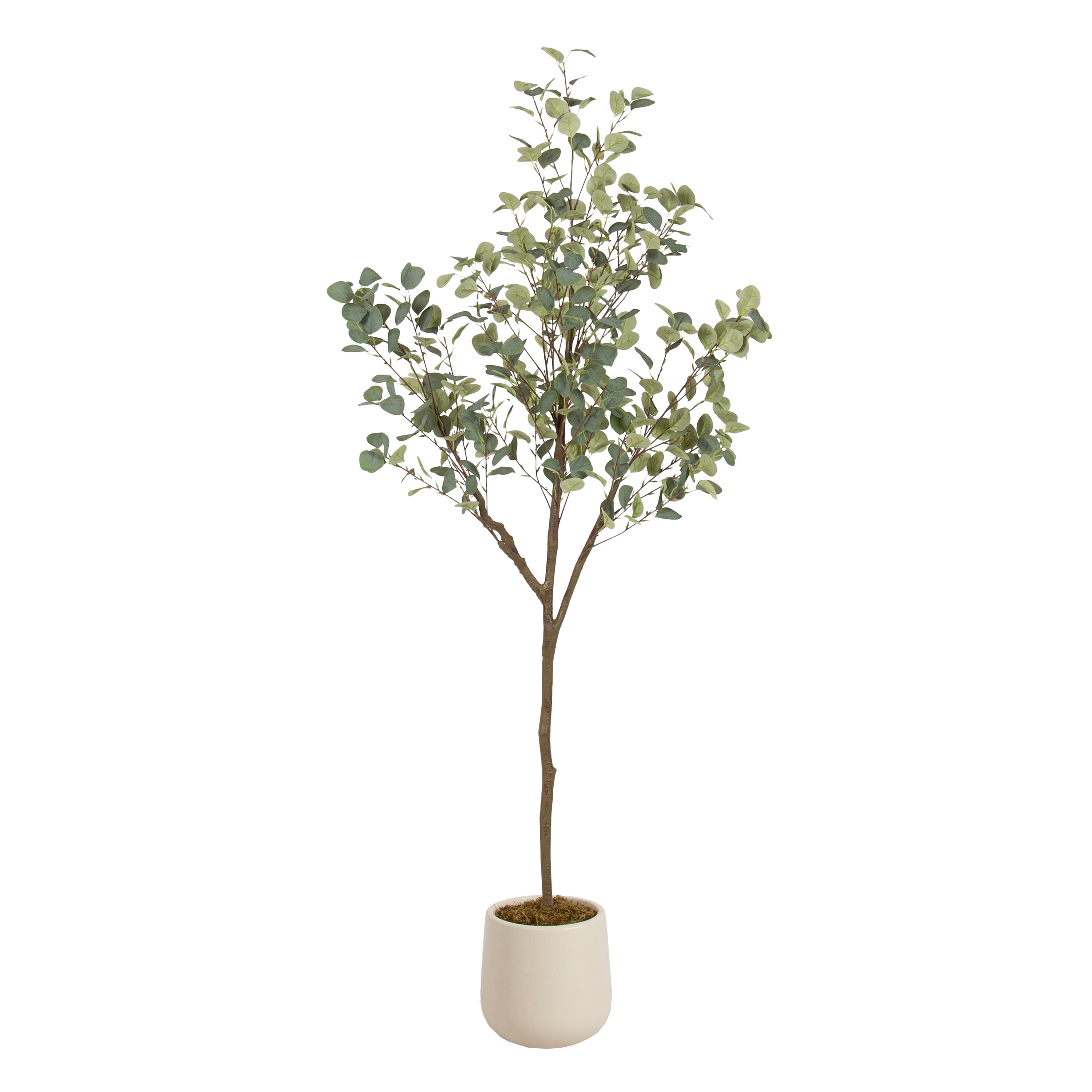 Faux Tree Cream 6' 1