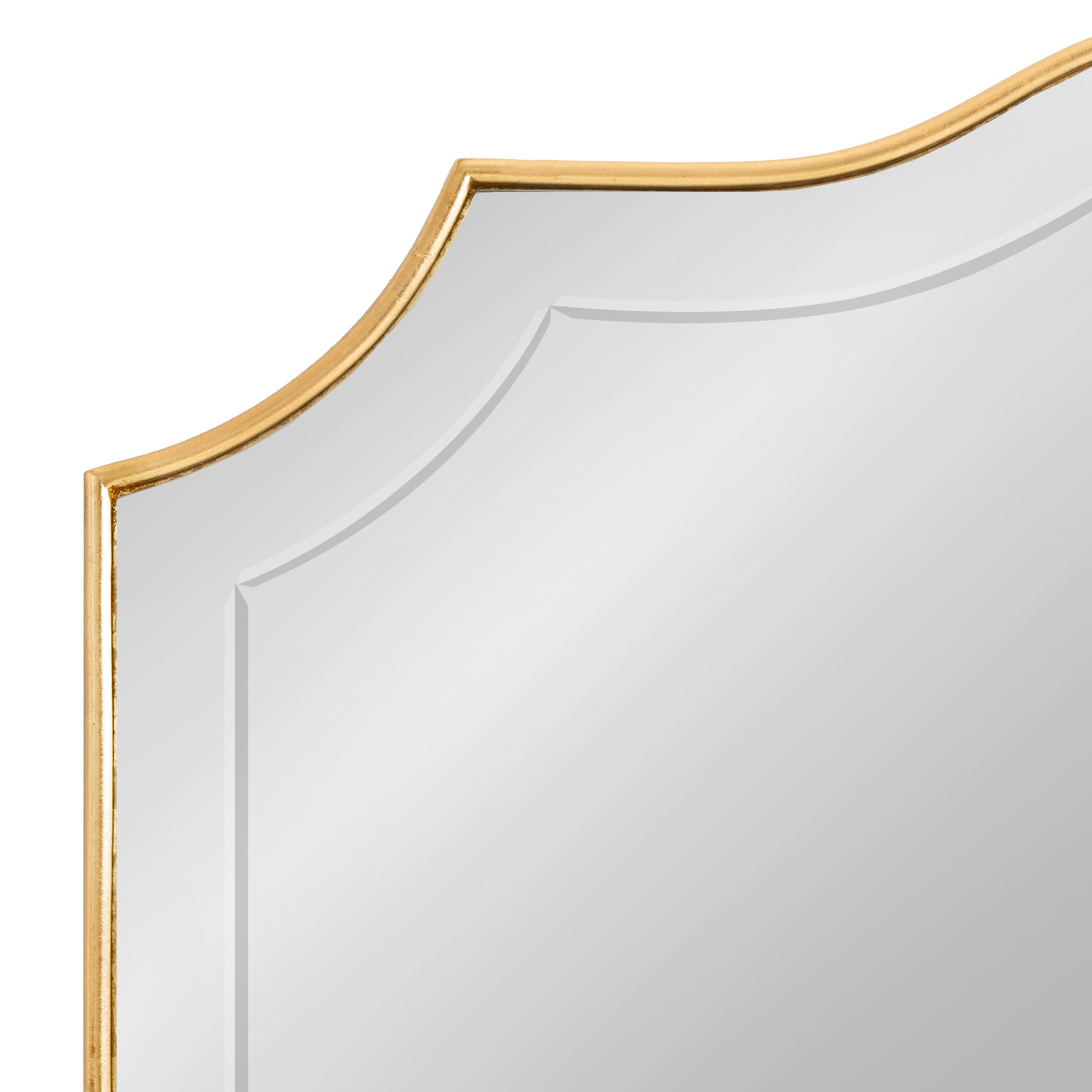 Hollyn Decorative Framed Wall Mirror