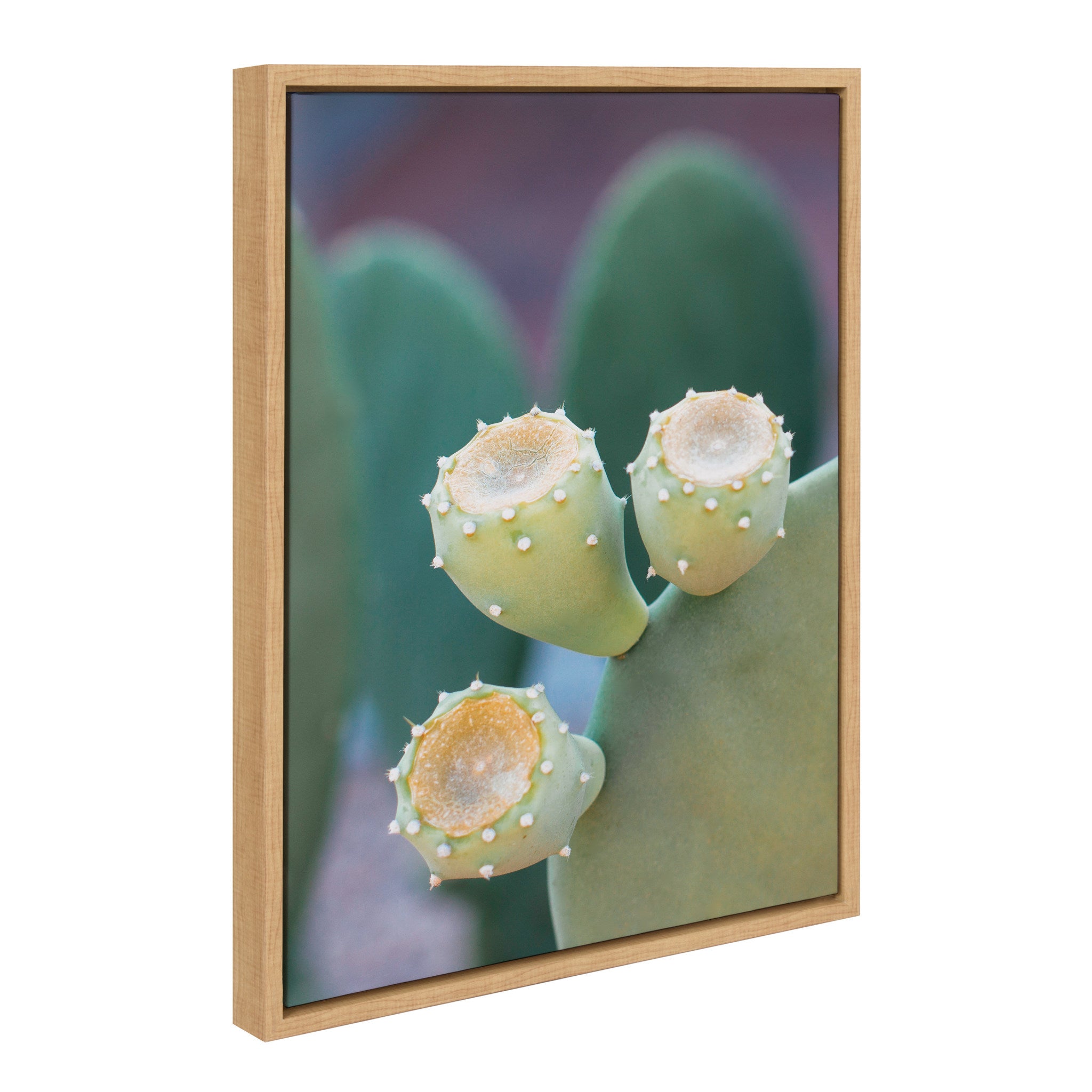 Sylvie Arizona Prickly Pear Cactus 2 Framed Canvas by Stephanie Klatt