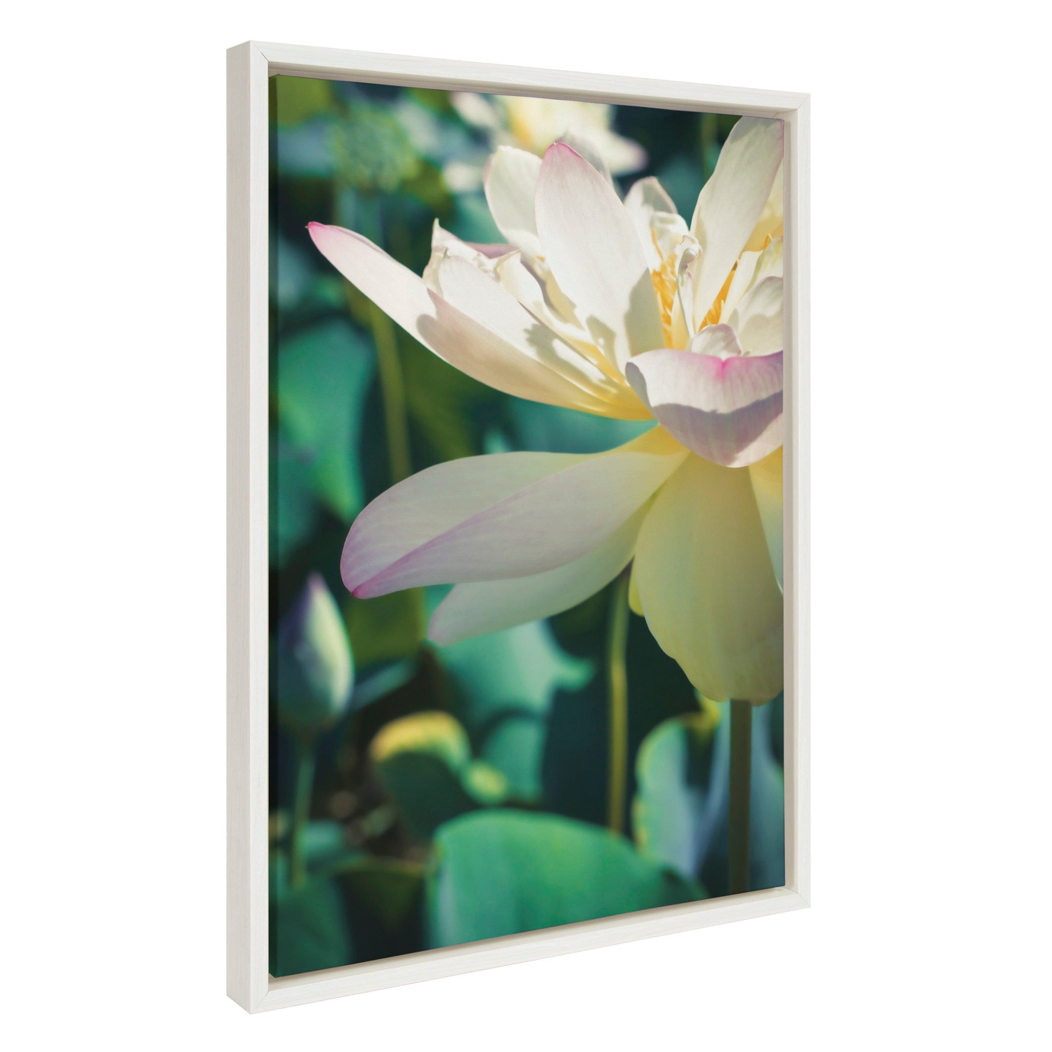 Sylvie Zen Lotus Flower Framed Canvas by Stephanie Klatt