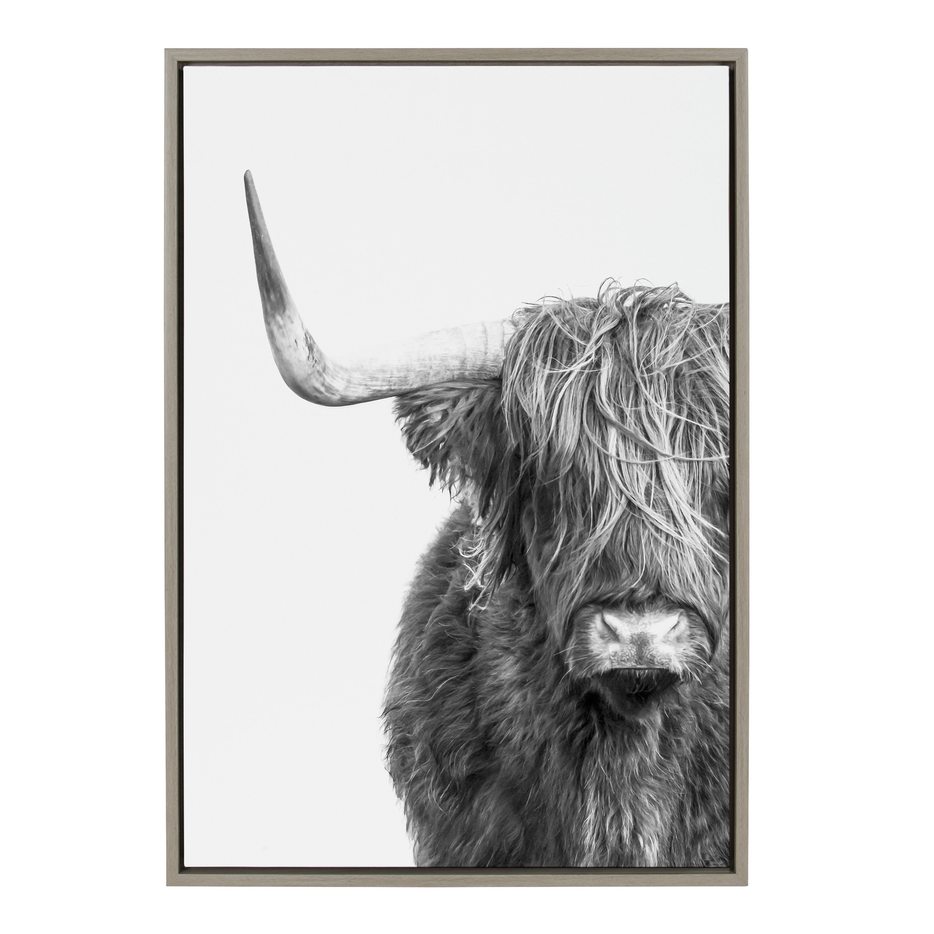 Sylvie B&W Highland Cow No. 1 Framed Canvas by Amy Peterson Art Studio