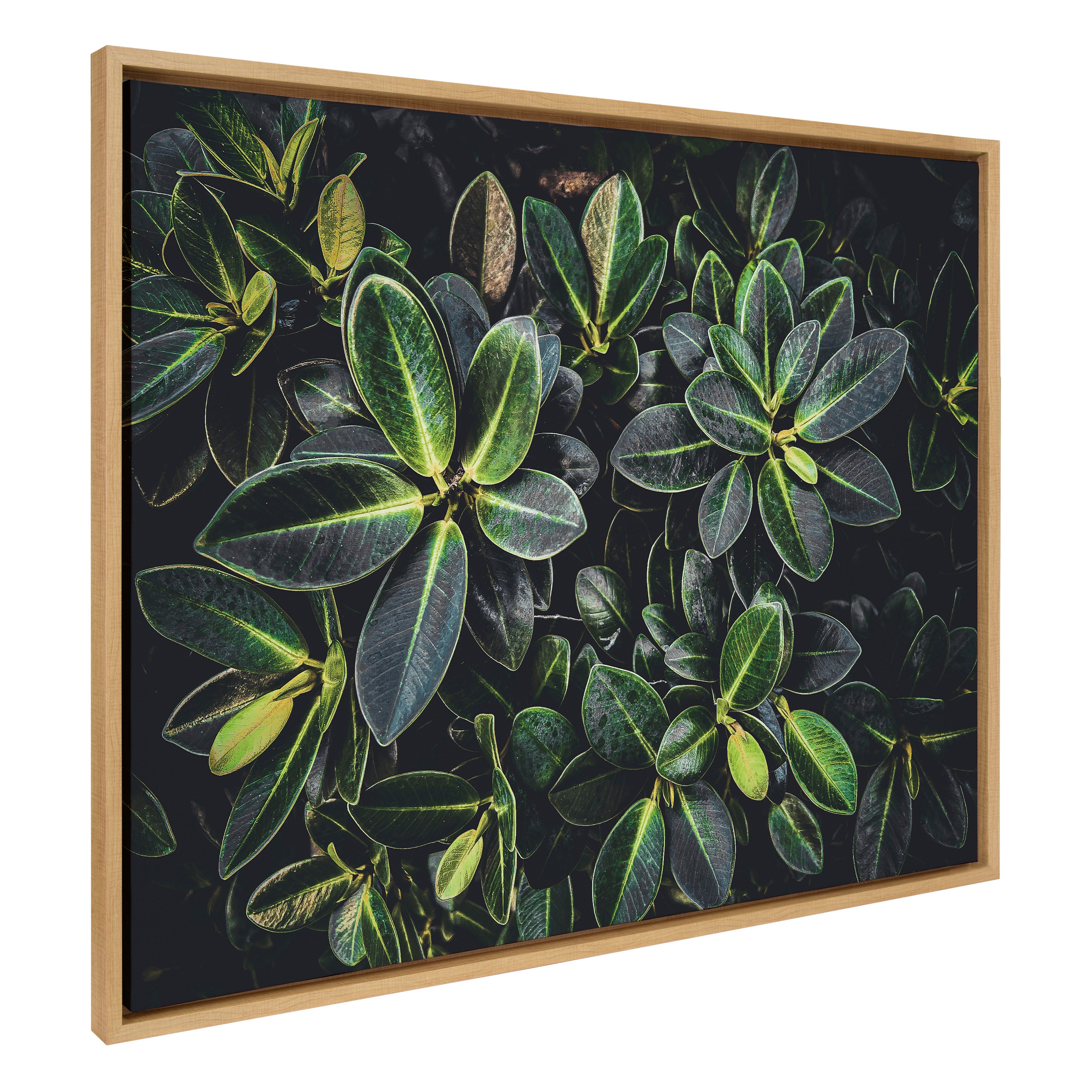 Sylvie Botanical Greenery Plant Wall Framed Canvas by The Creative Bunch Studio