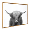 Sylvie Hey Dude Highland Cow BW Framed Canvas by The Creative Bunch Studio