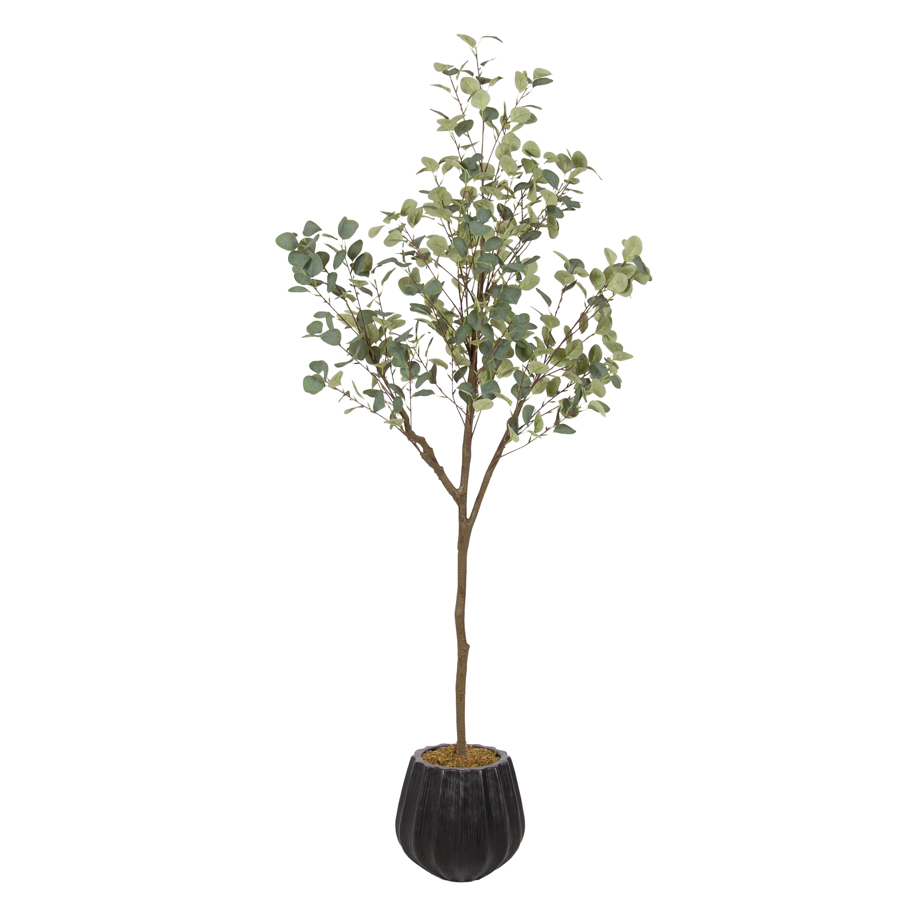 Faux Tree Black 6' 1