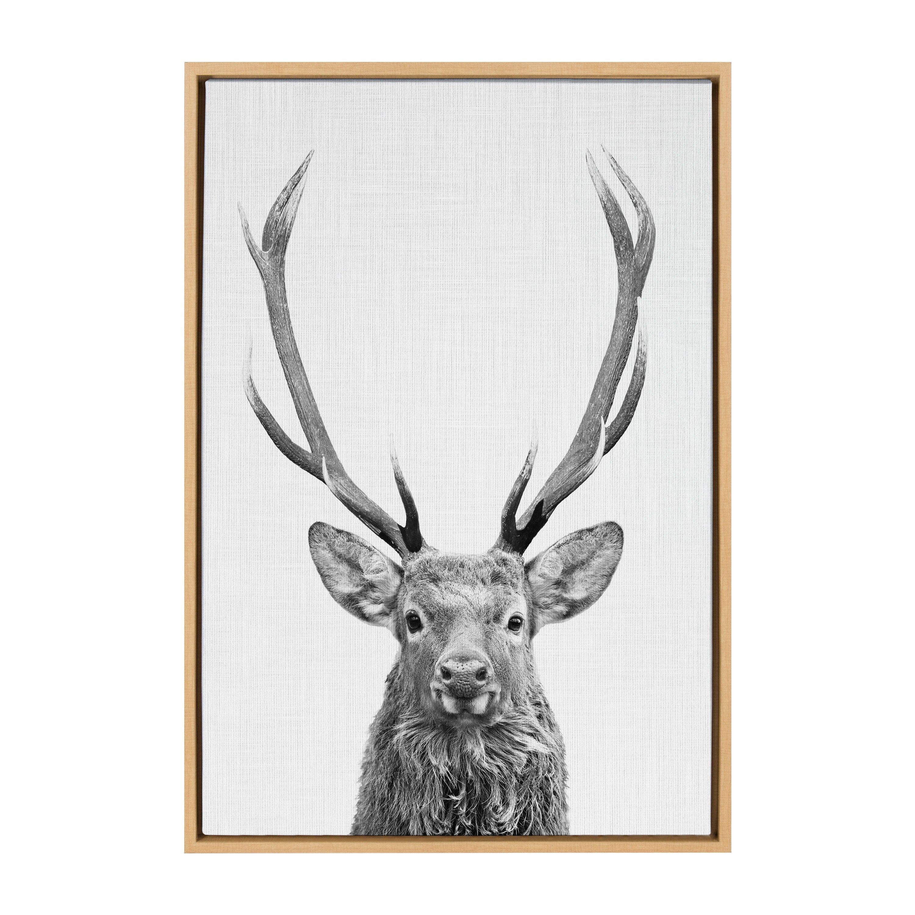Sylvie The Red Deer BW Framed Canvas by Simon Te of Tai Prints