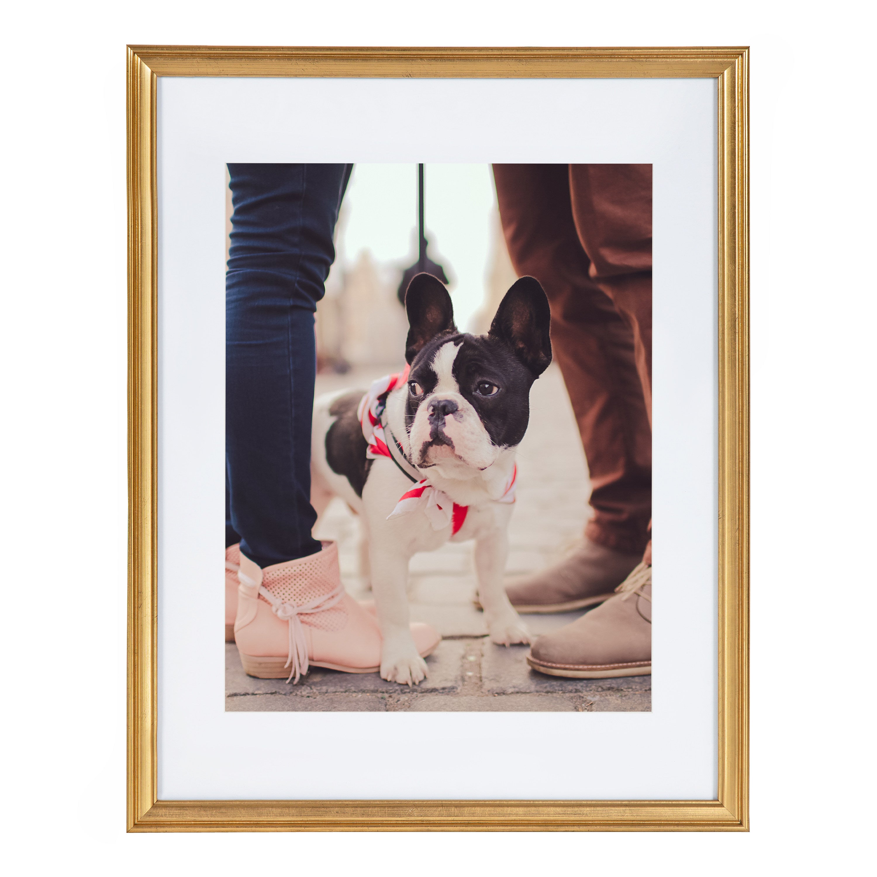 Wall Frame Gold 14x18 matted to 11x14 6
