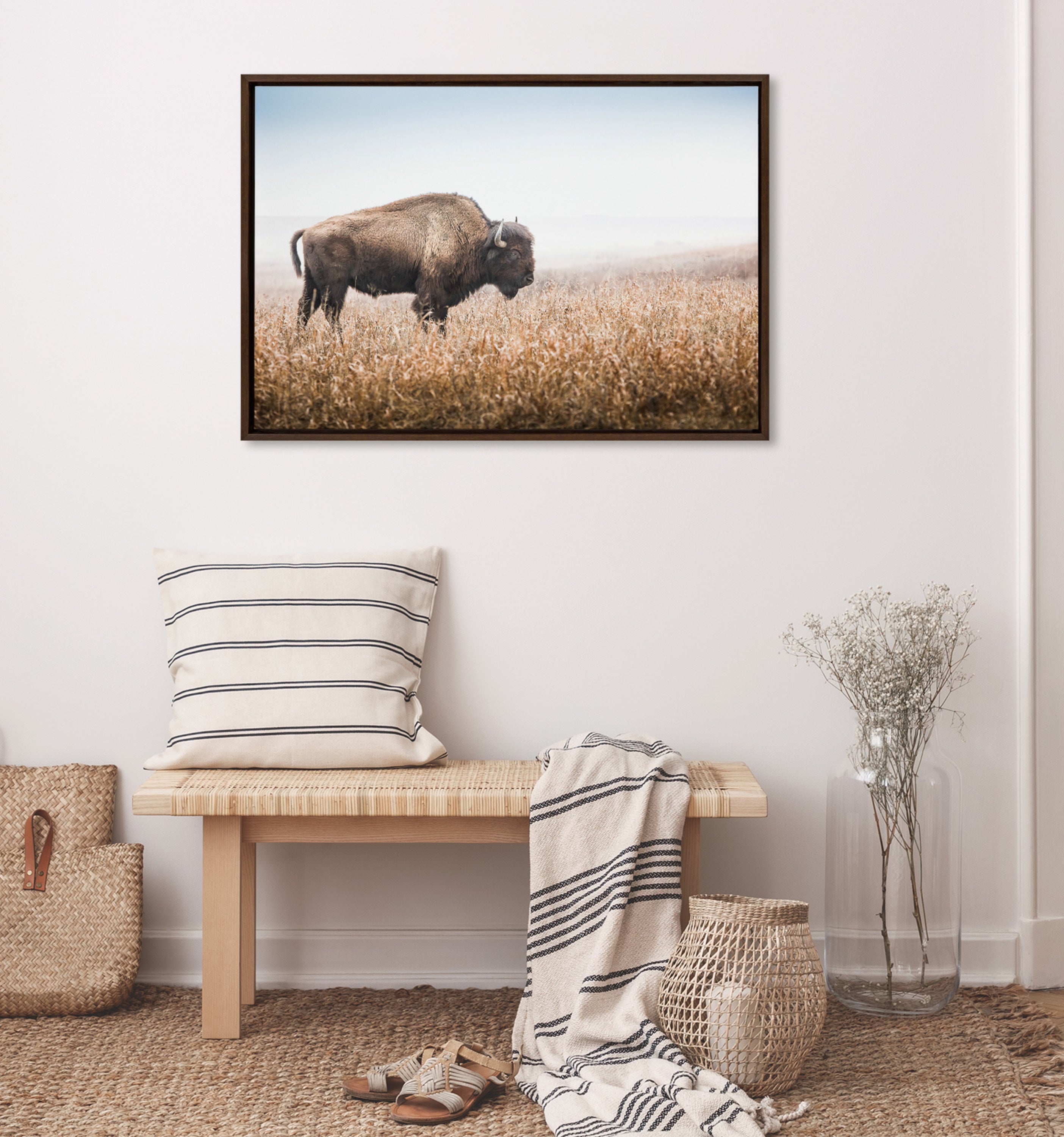 Sylvie American Bison Buffalo in Prairie Grass Framed Canvas by Warren Metcalf