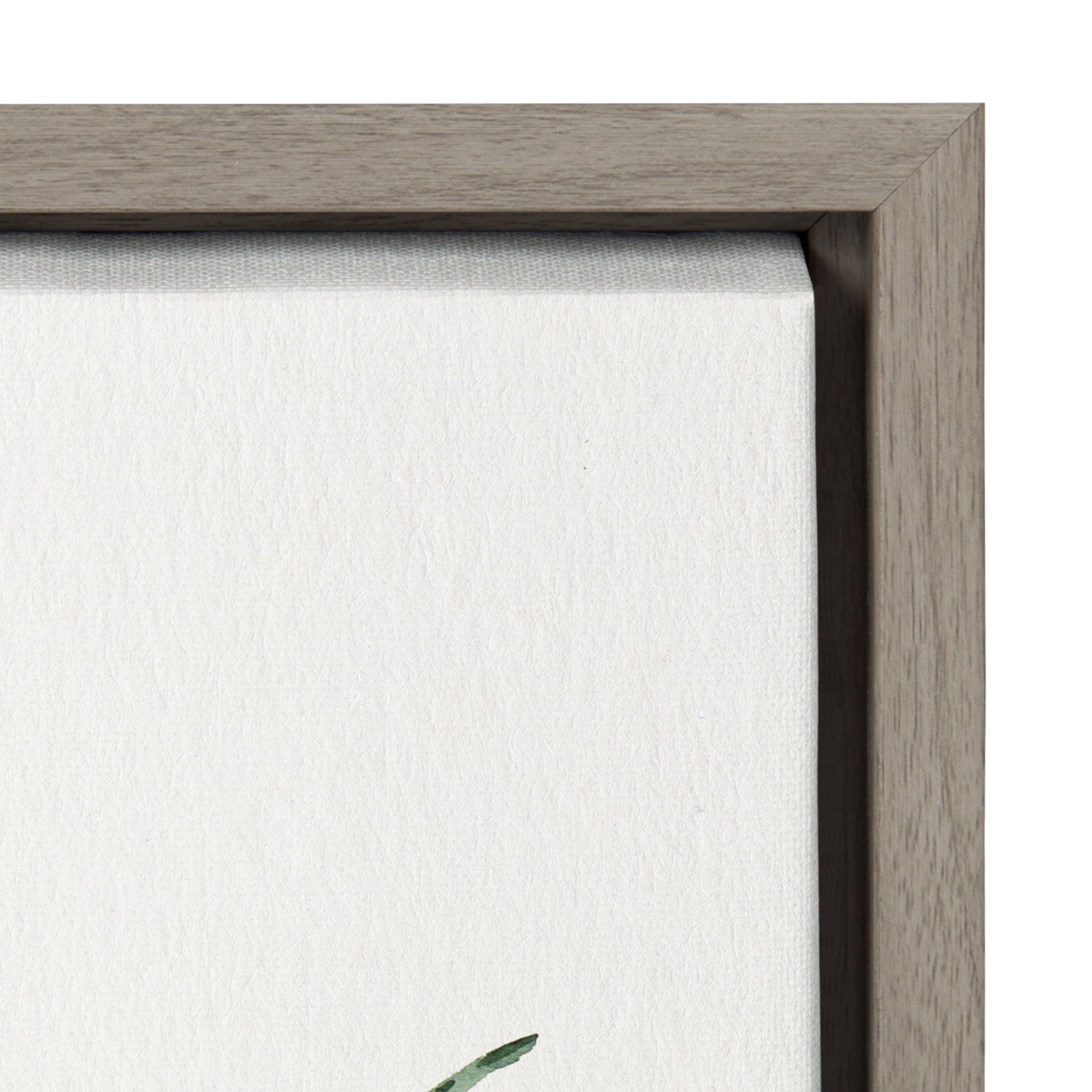 Sylvie Lemon Citrus Framed Canvas by Patricia Shaw
