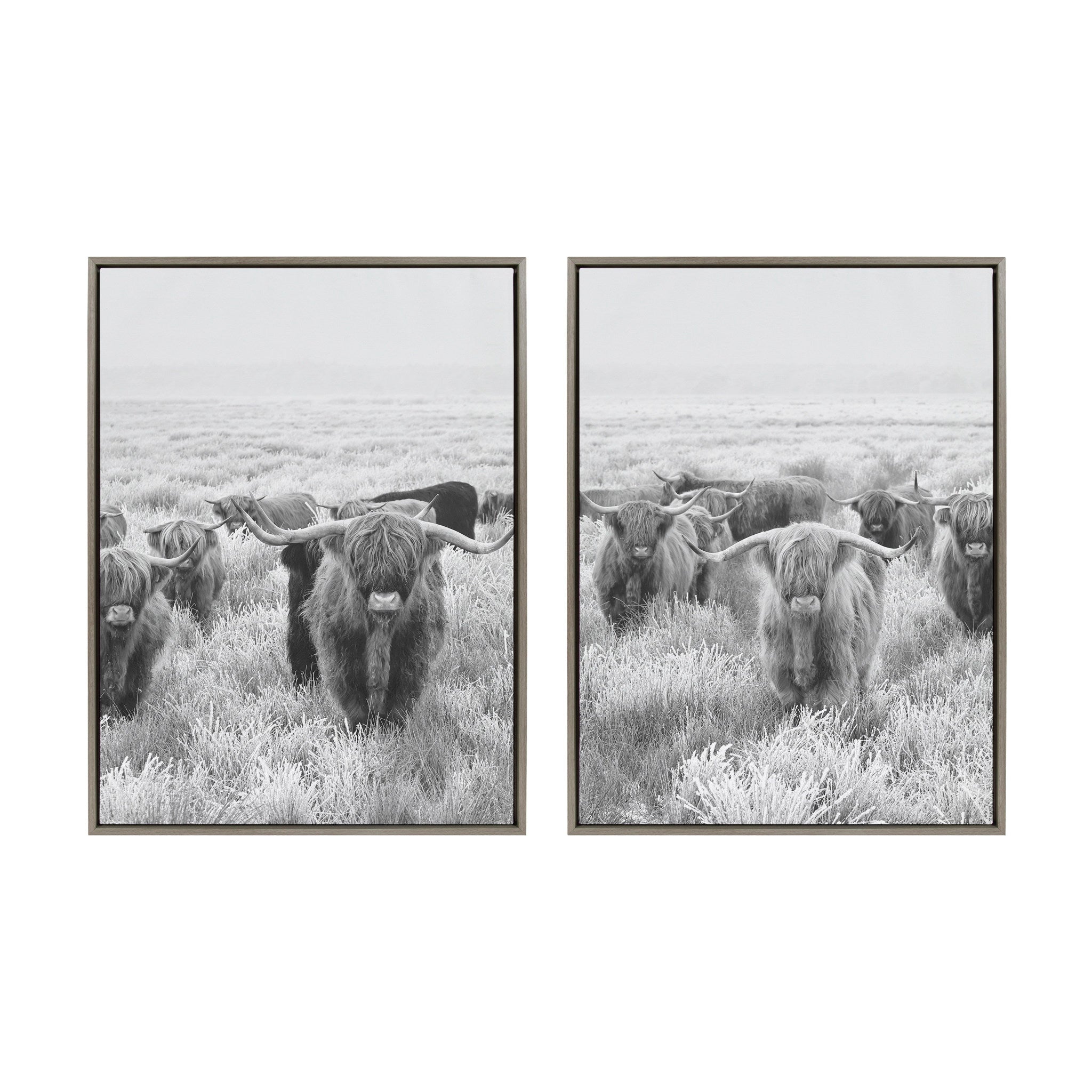 Sylvie Herd of Highland Cows Framed Canvas Art Set by The Creative Bunch Studio