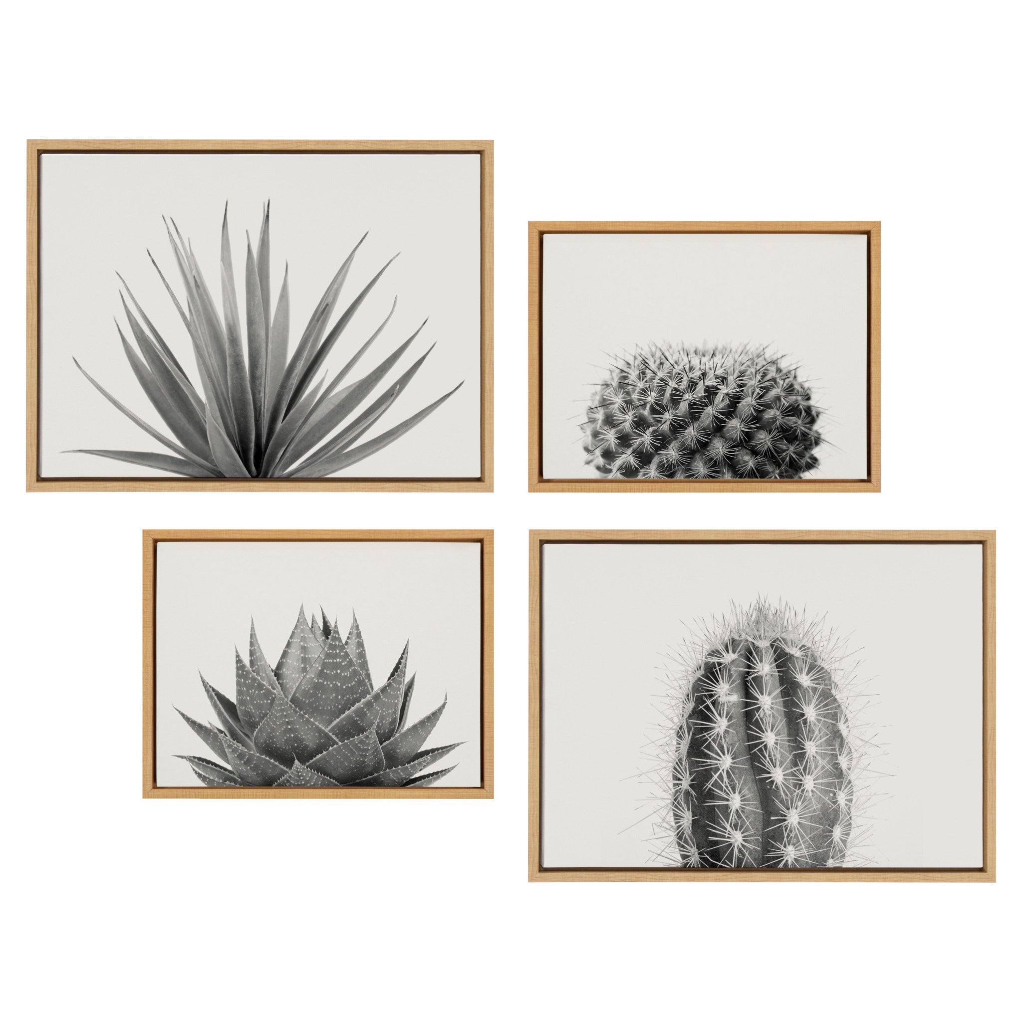 Sylvie Haze Aloe Succulent, Cactus Tall, Cactus Short and Agave Succulent Framed Canvas Art Set by The Creative Bunch Studio
