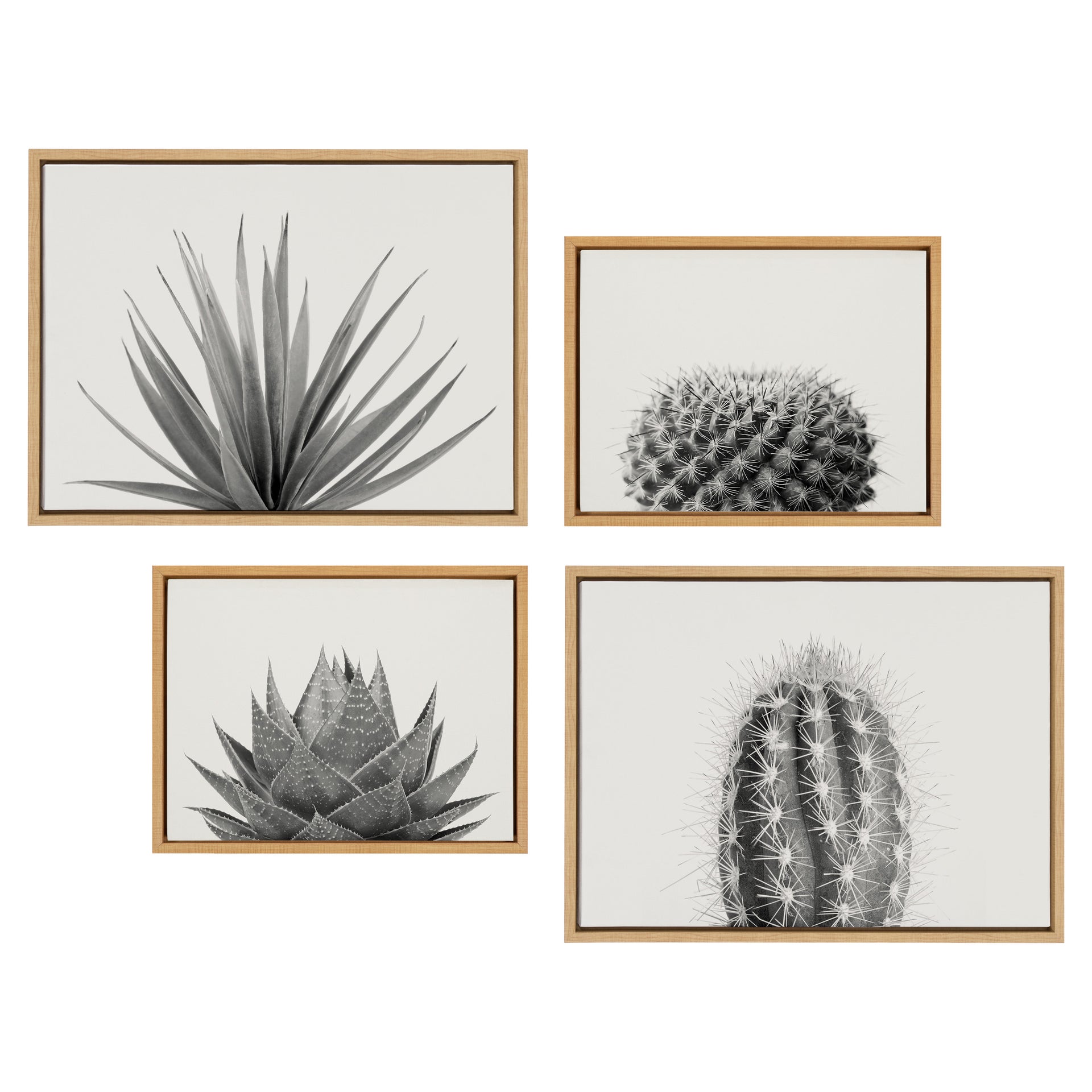 succulent paintings on canvas Sylvie Haze Aloe Succulent, Cactus Tall, Cactus Short and Agave Succulent Framed Canvas Art Set by The Creative Bunch Studio