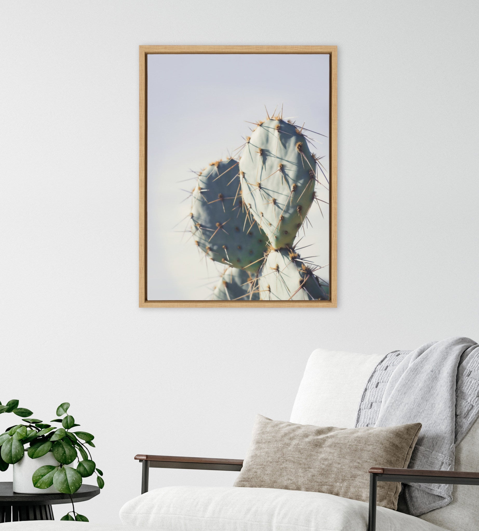Sylvie Pastel Cactus Framed Canvas by Stephanie Klatt