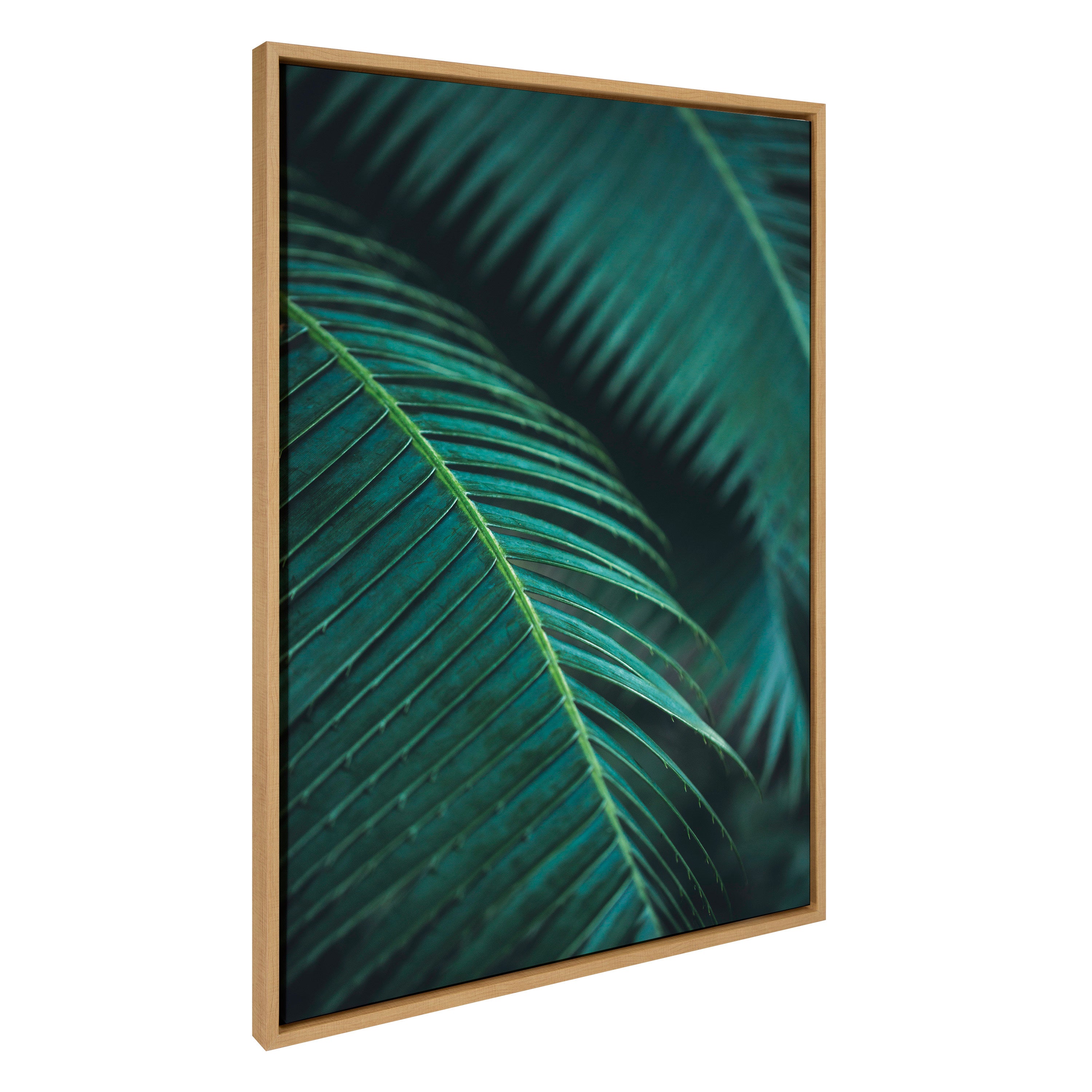Sylvie Palm Frond II Framed Canvas by Emiko and Mark Franzen of F2Images