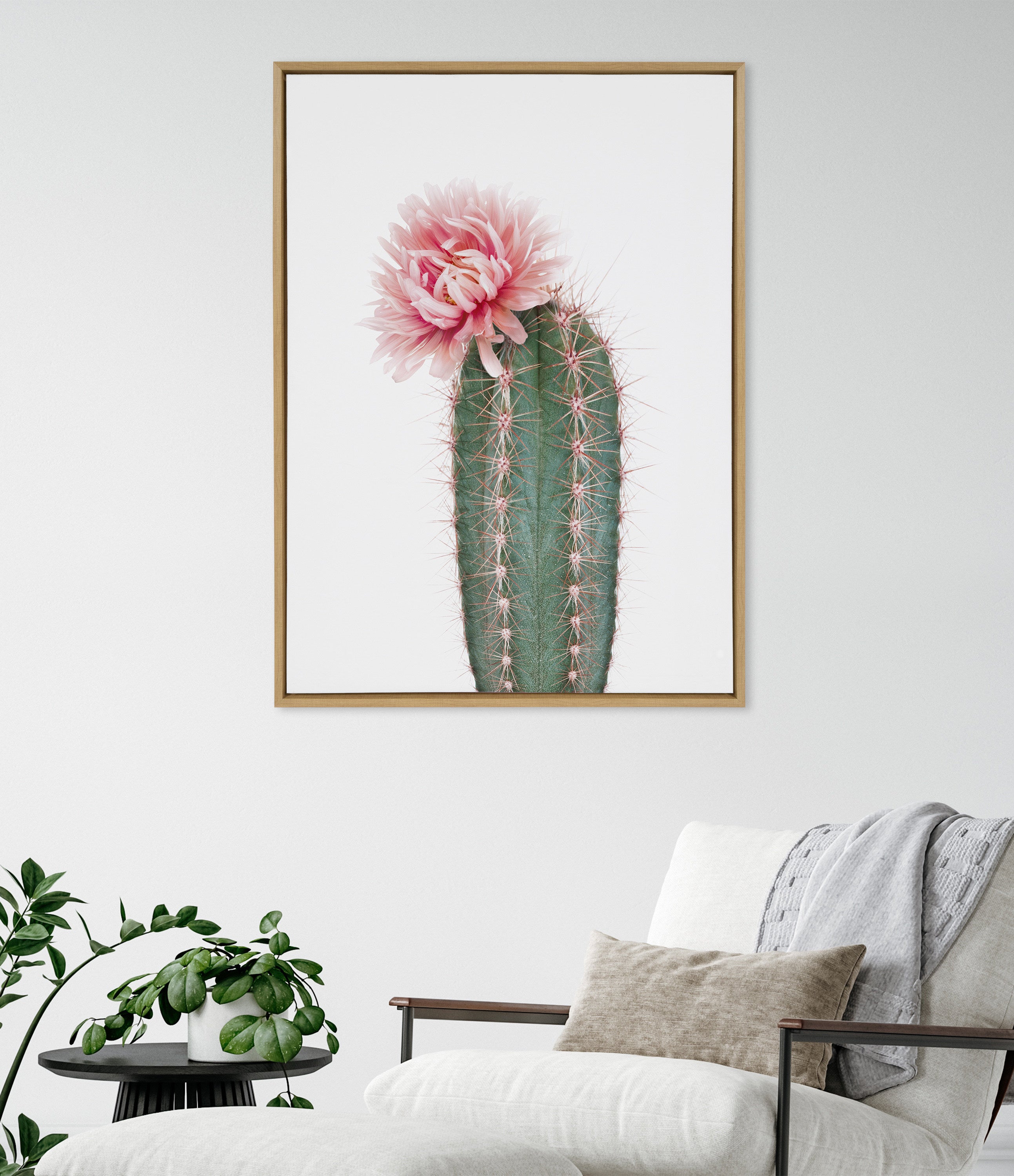 Sylvie Pink Cactus Flower Framed Canvas by Amy Peterson Art Studio