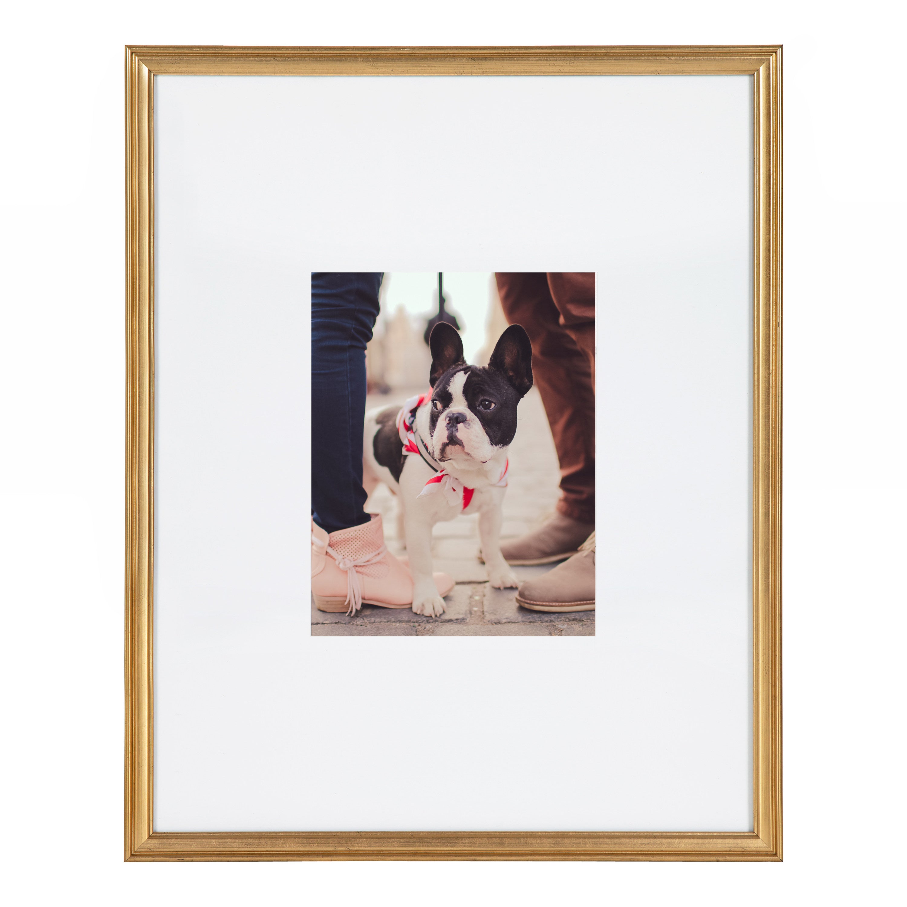Wall Frame Gold 16x20 matted to 8x10 6