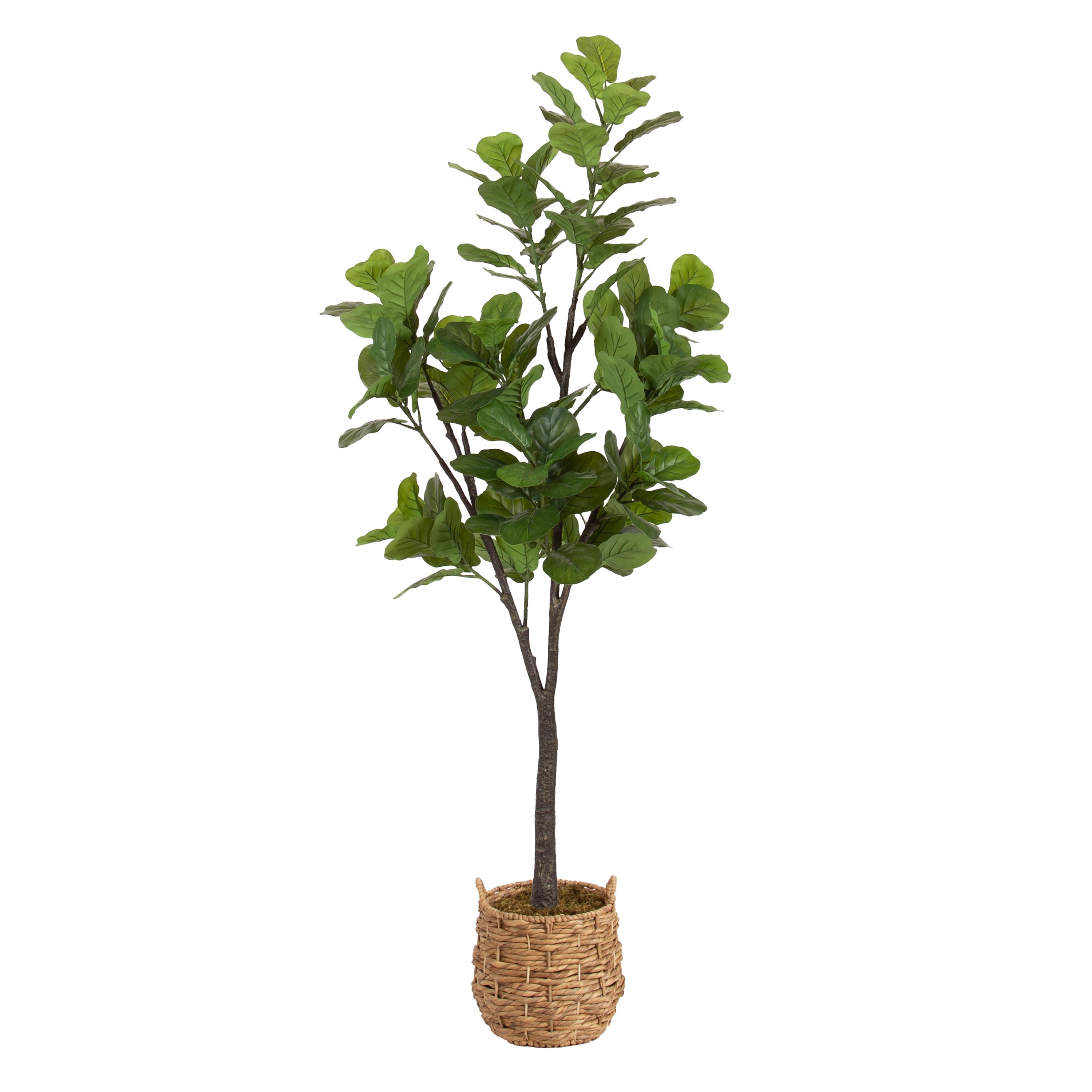 Faux Tree Natural 6' 1