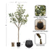 Faux Tree Black 6' 2