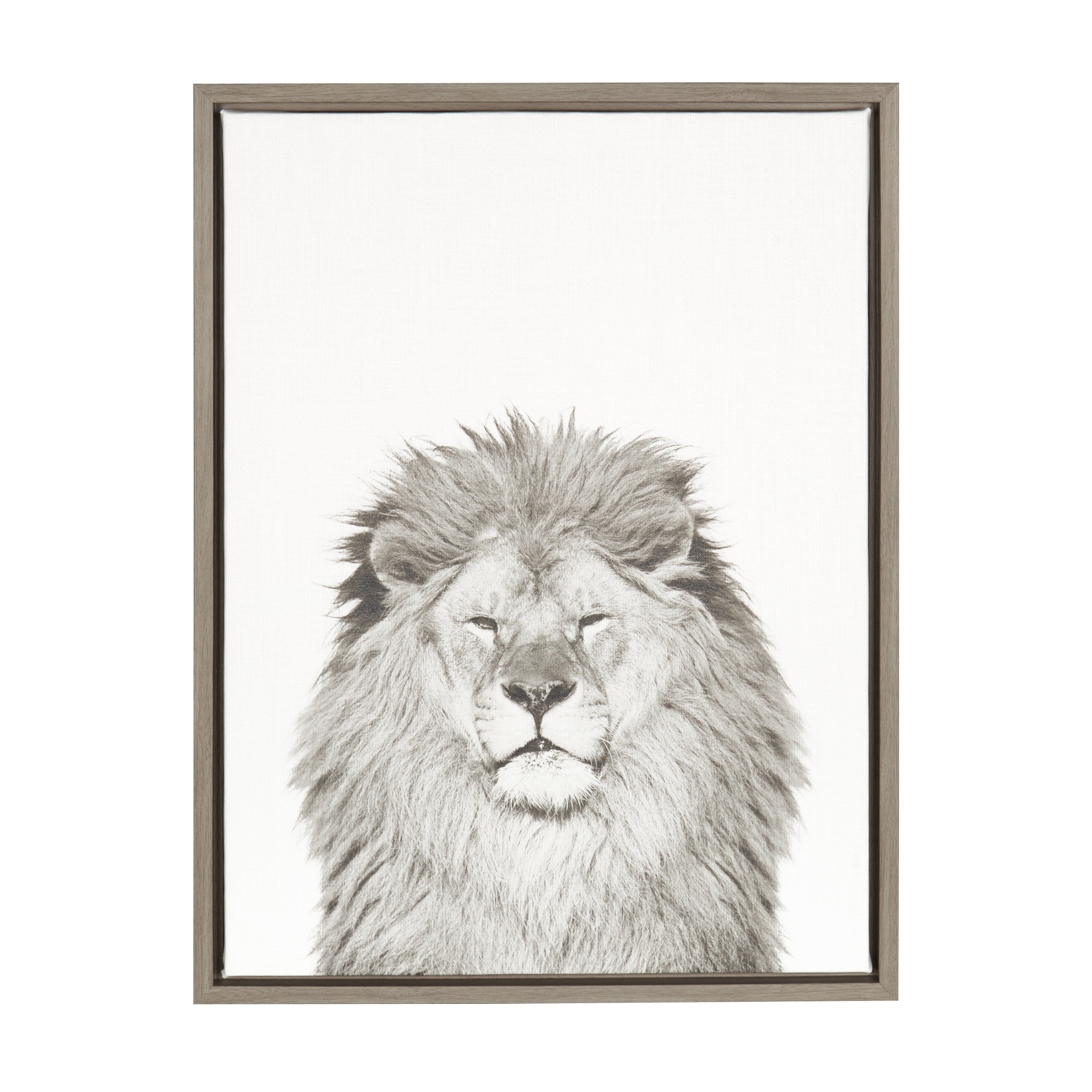 Sylvie Lion Framed Canvas by Simon Te Tai