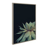 Sylvie Succulent Framed Canvas by F2 Images