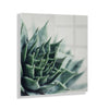 Radical Succulent Floating Acrylic Art by Emiko and Mark Franzen of F2Images