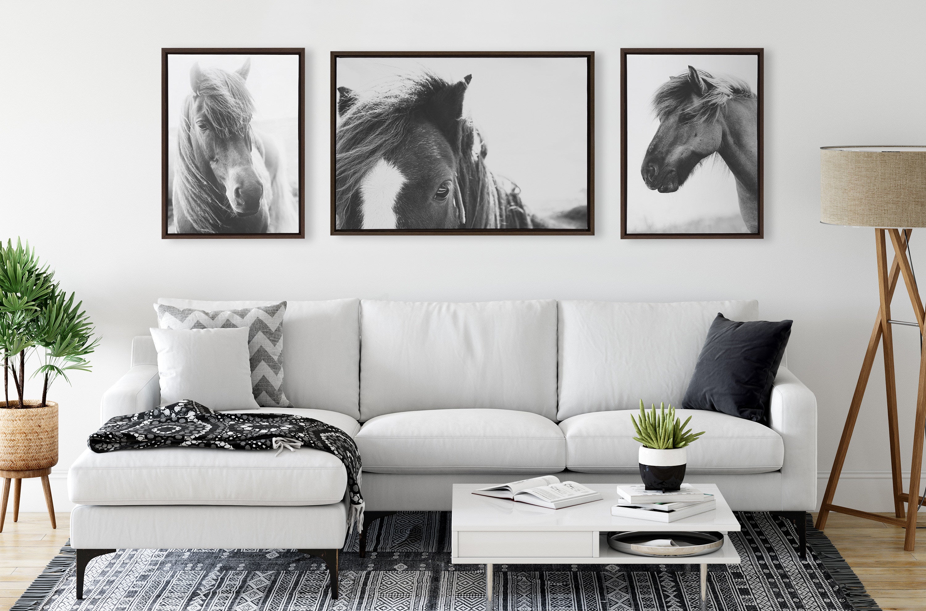 Sylvie Noble BW Framed Canvas by Alicia Abla