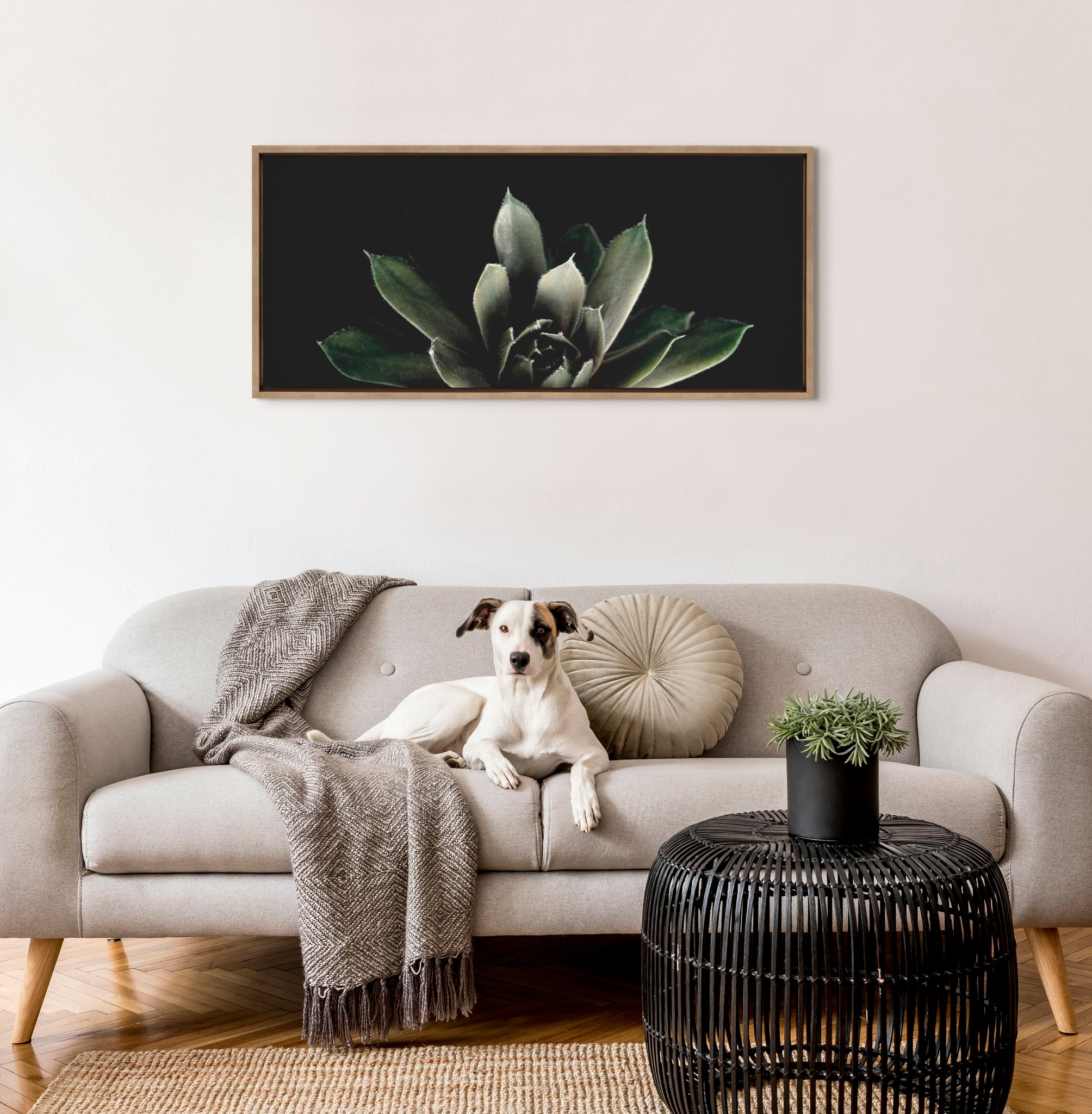 Sylvie Salutation Framed Canvas by Emiko and Mark Franzen of F2Images