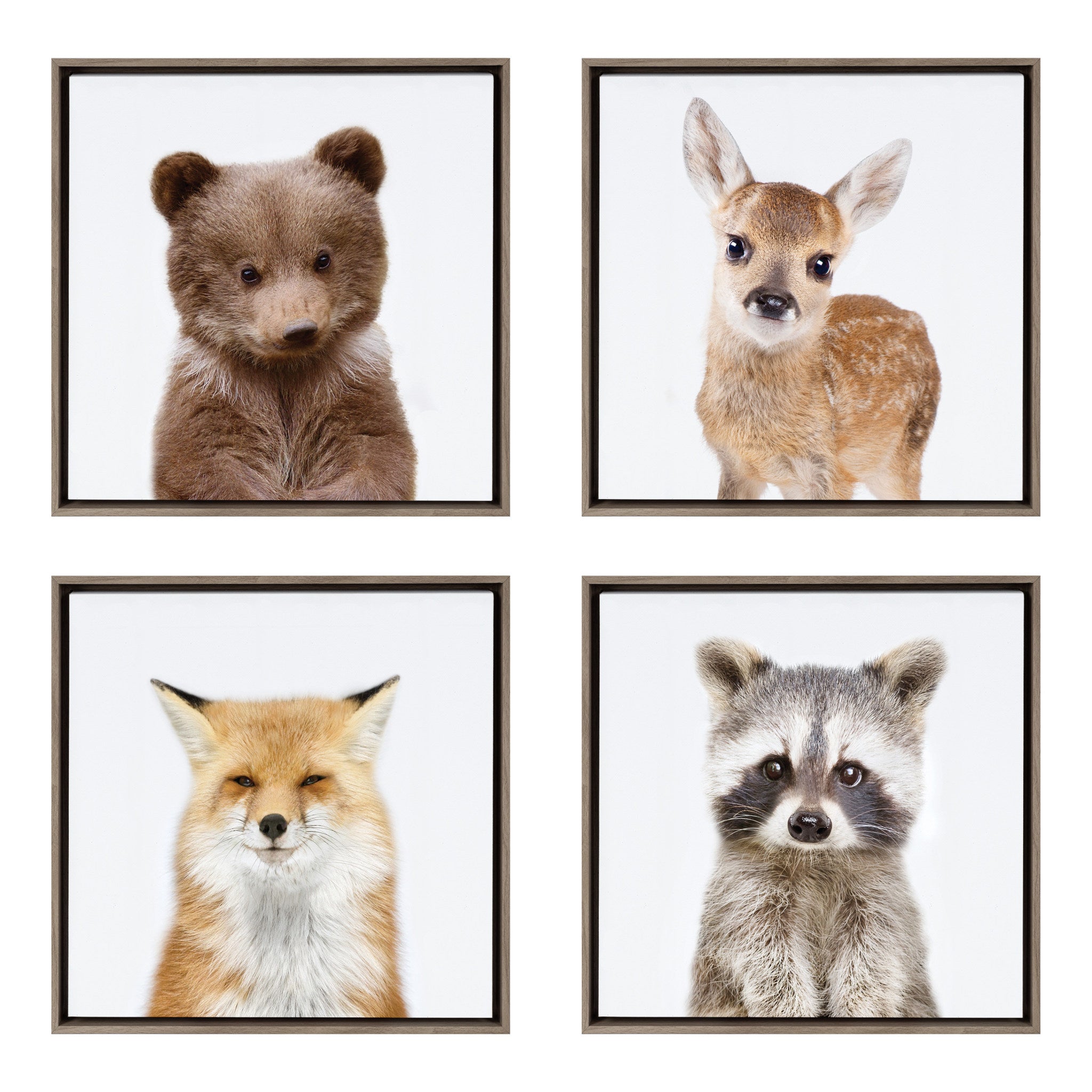Sylvie Woodland Animal Framed Canvas Art Set by Amy Peterson