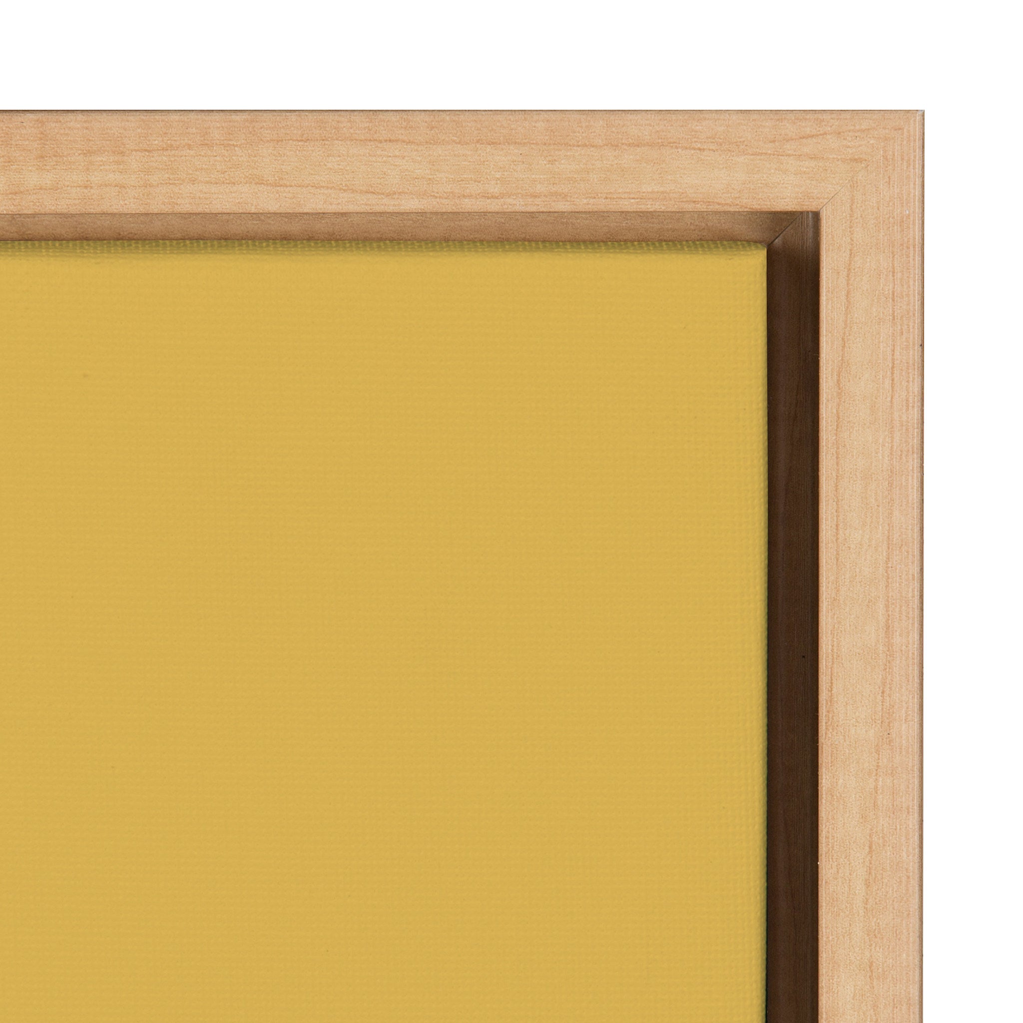 Sylvie Golden Hour Framed Canvas by Kasey Free