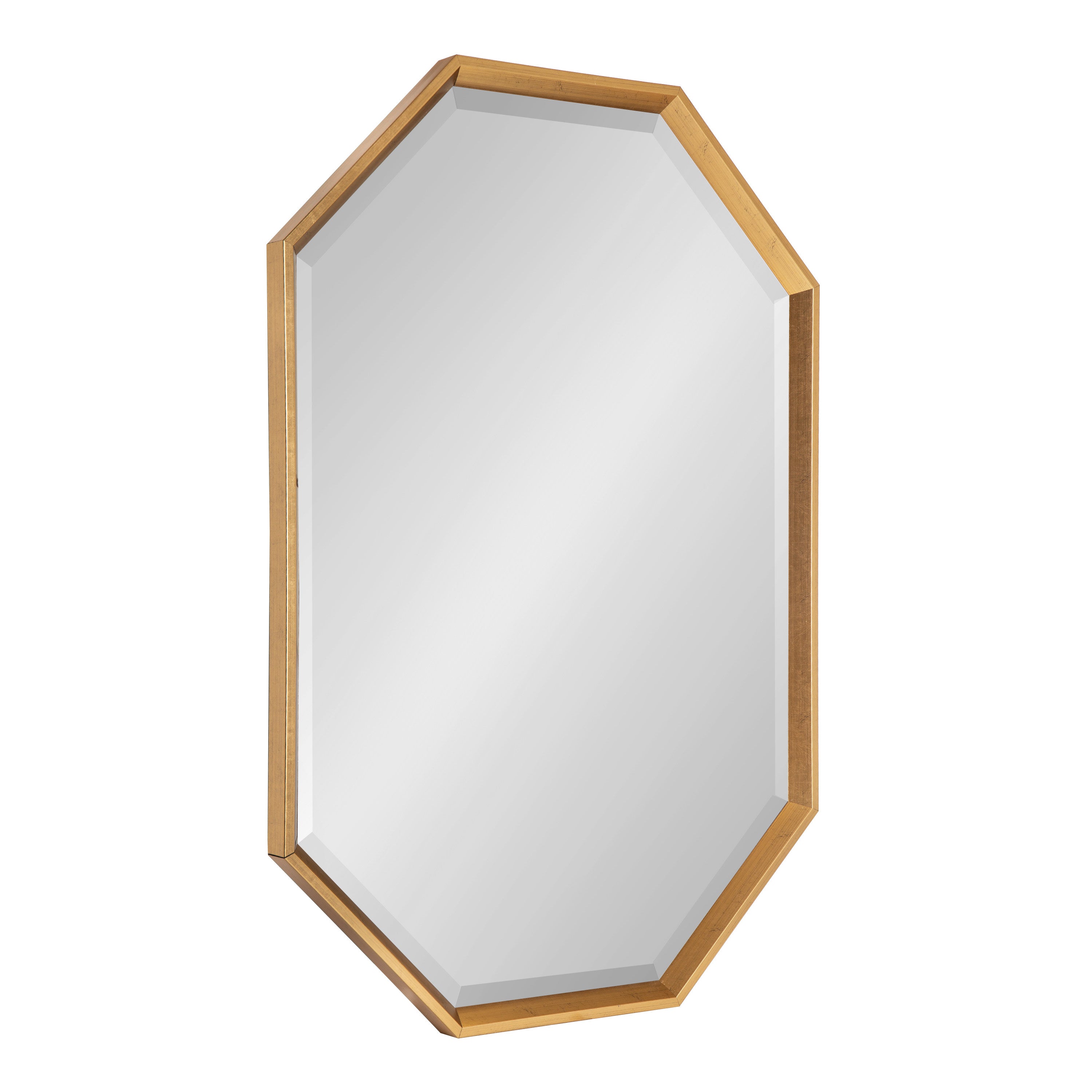 Kate and Laurel Calter Modern Full Length Framed Octagon Wall
