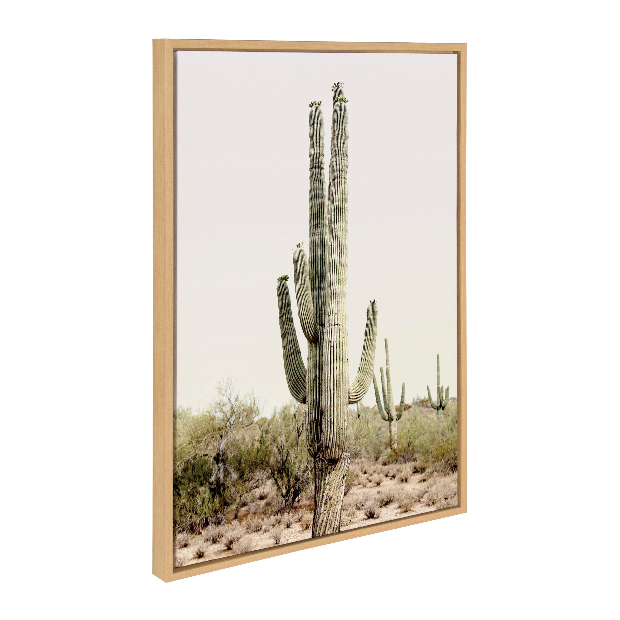 Sylvie Sunrise Cactus Framed Canvas by Amy Peterson