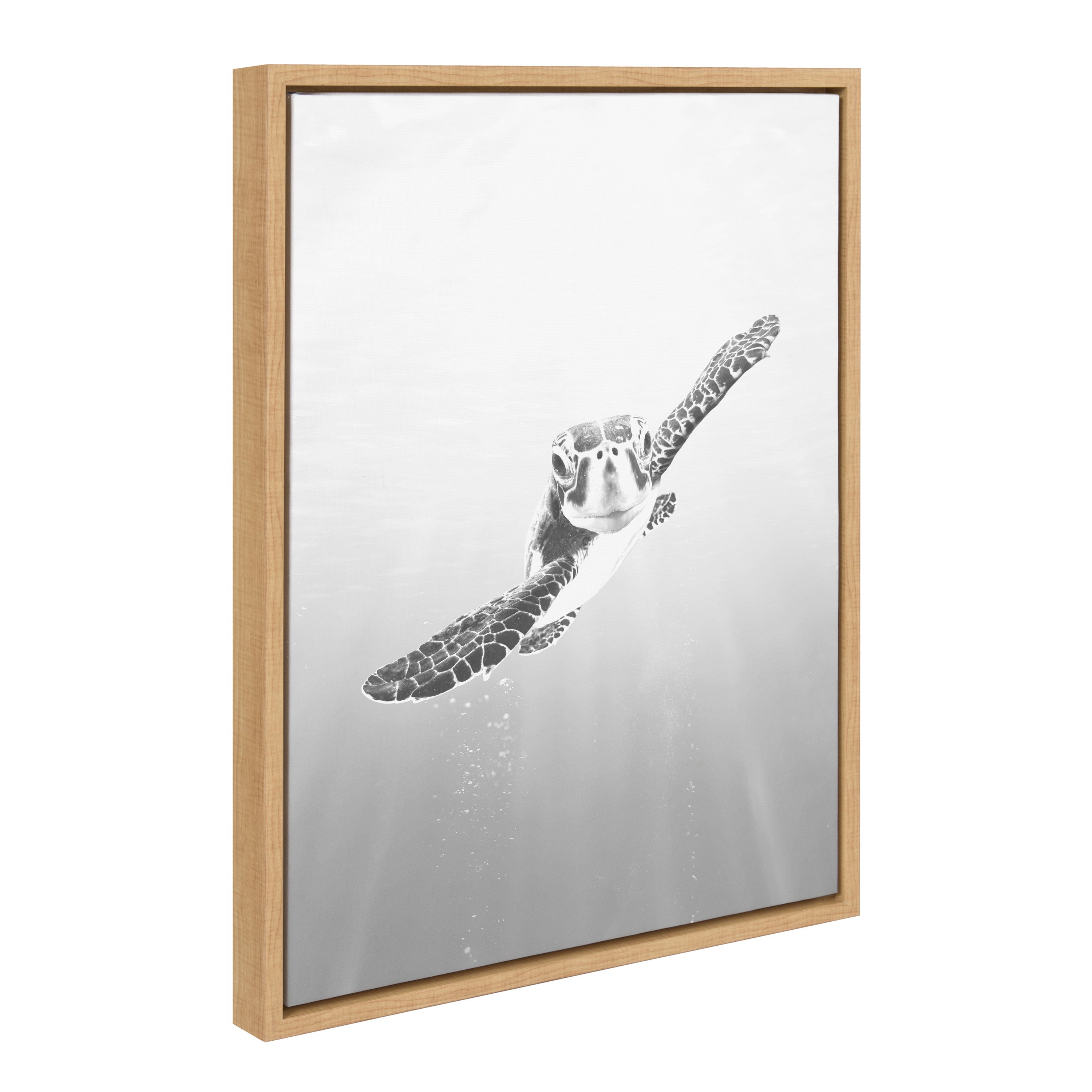 Sylvie Sea Turtle Framed Canvas by Simon Te of Tai Prints