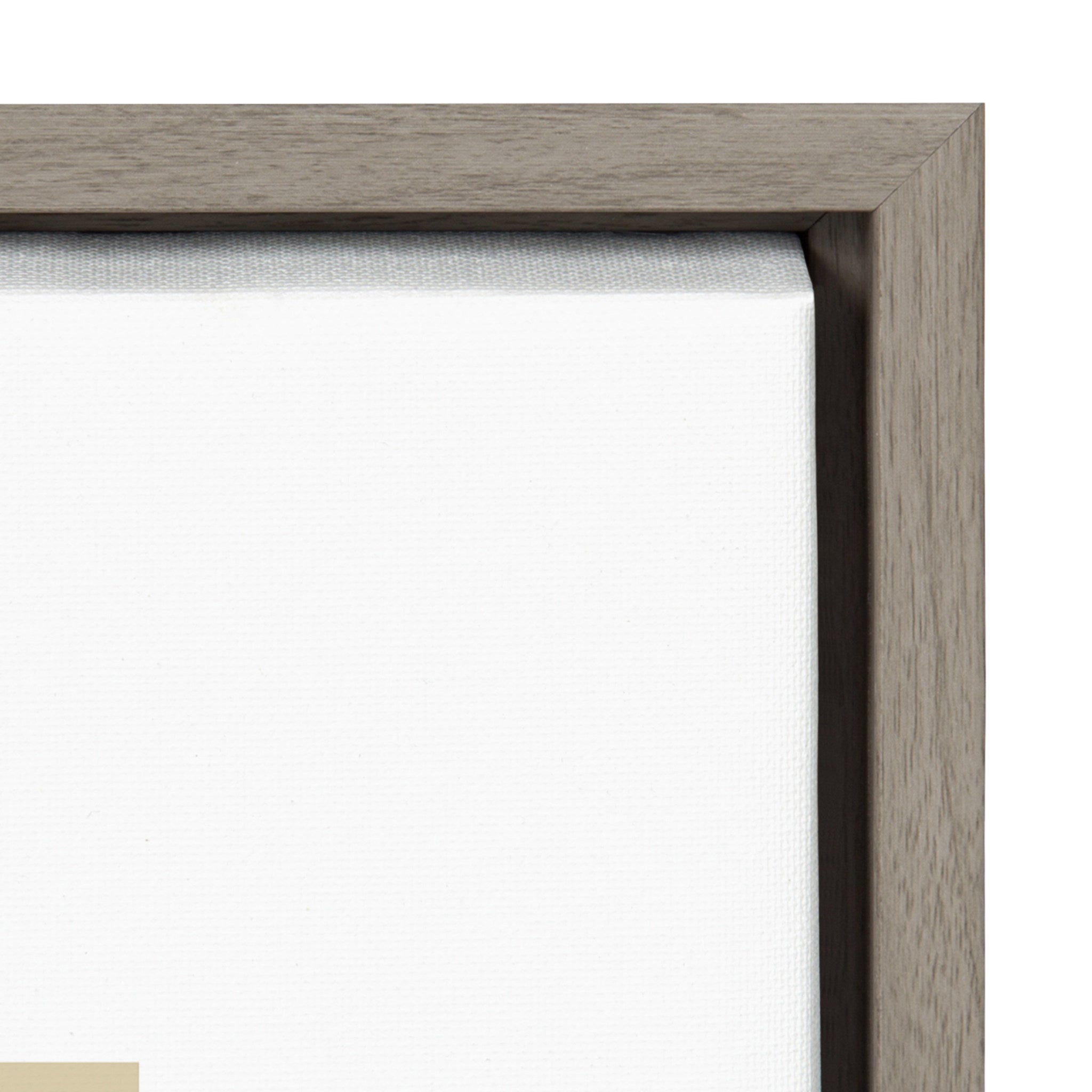 Sylvie Fields of Sun 3 Framed Canvas by Maja Mitrovic of Makes My Day Happy