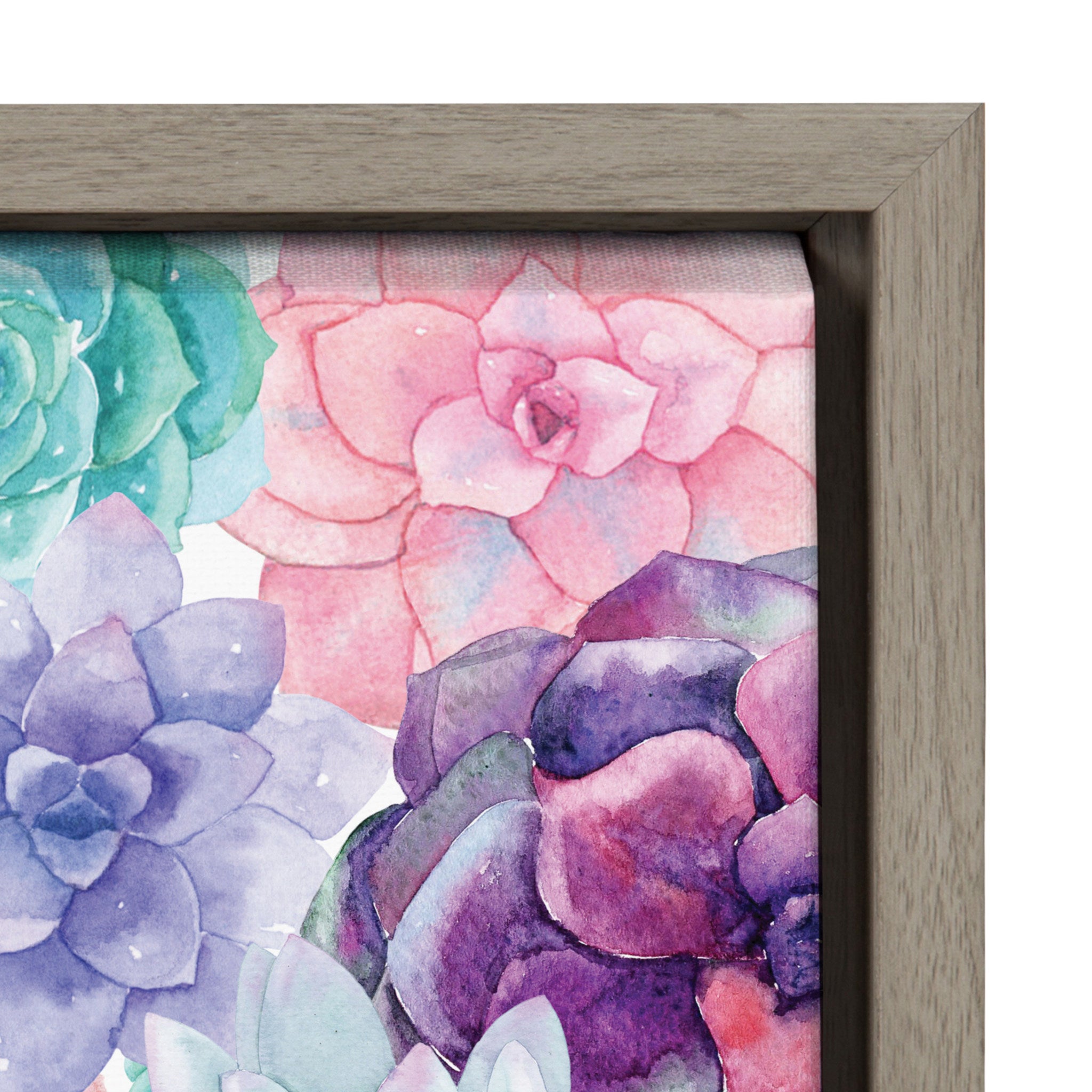 Sylvie Colorful Succulents Framed Canvas by Maja Mitrovic of Makes My Day Happy