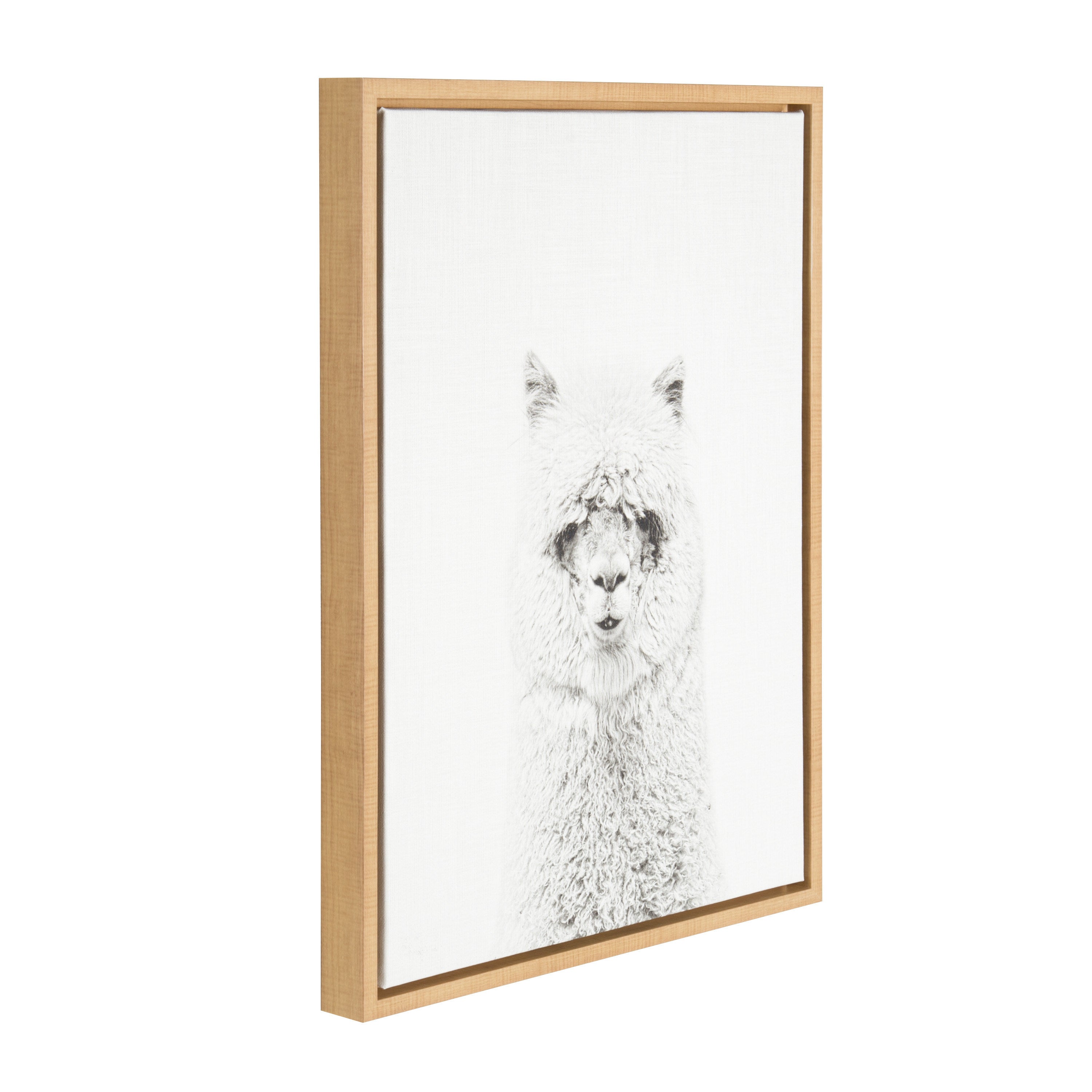 Sylvie Hairy Alpaca Framed Canvas by Simon Te Tai
