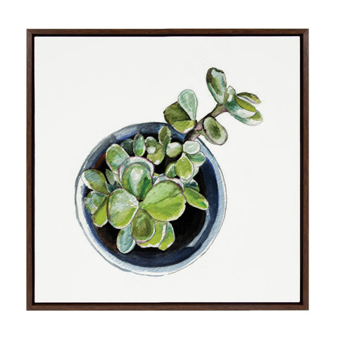 Sylvie Succulent From Above 1 Framed Canvas by Jennifer Redstreake Geary of Redstreake Fine Art