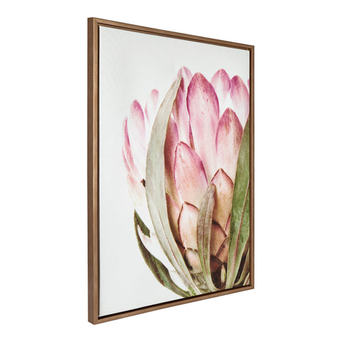 Sylvie Pink Protea Flower Framed Canvas by Amy Peterson